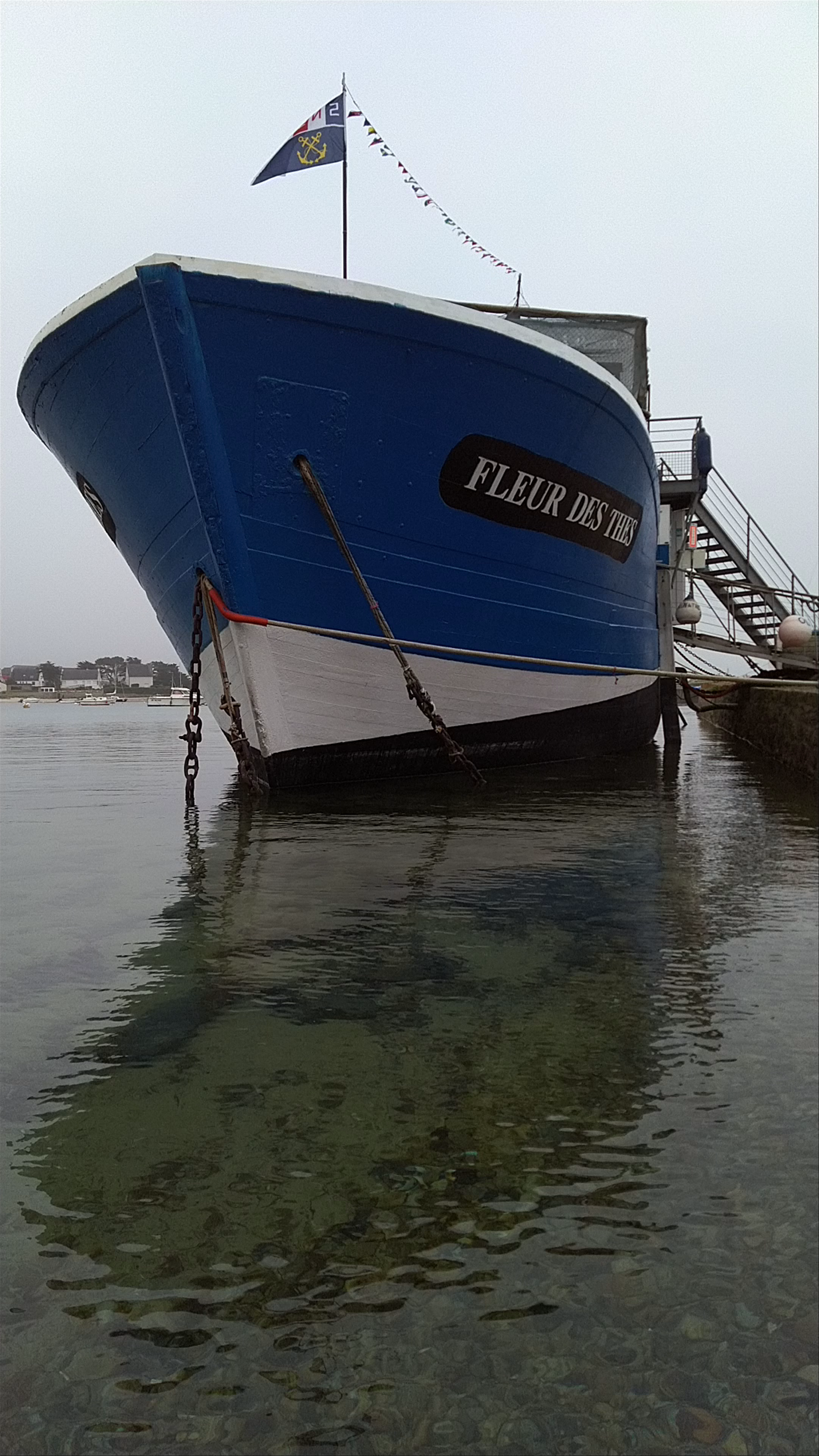 Serene Mornings at Fleur des Thés in Landunvez, Brittany