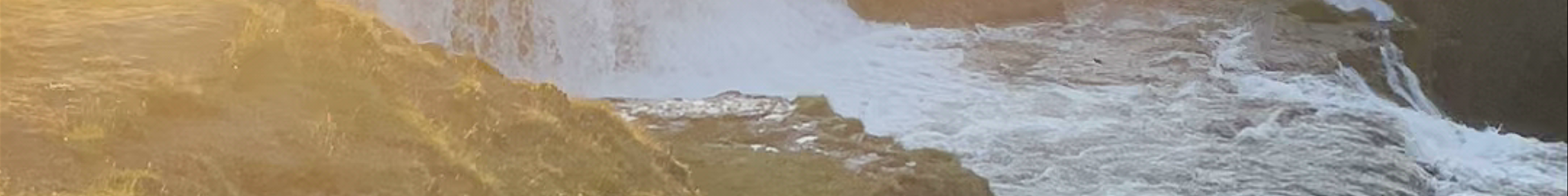Tours & experiences in Sauðárkrókur