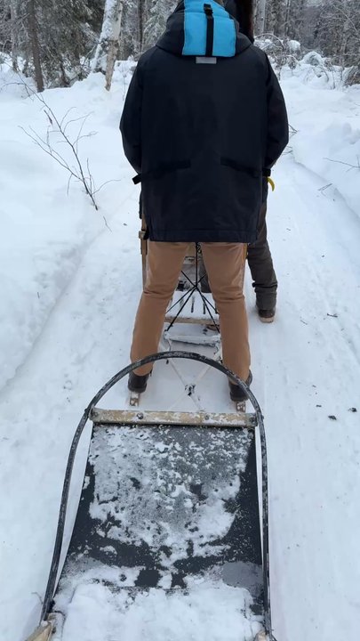 Alaskan Husky Adventures - Sledding Near Me - Willow, Alaska