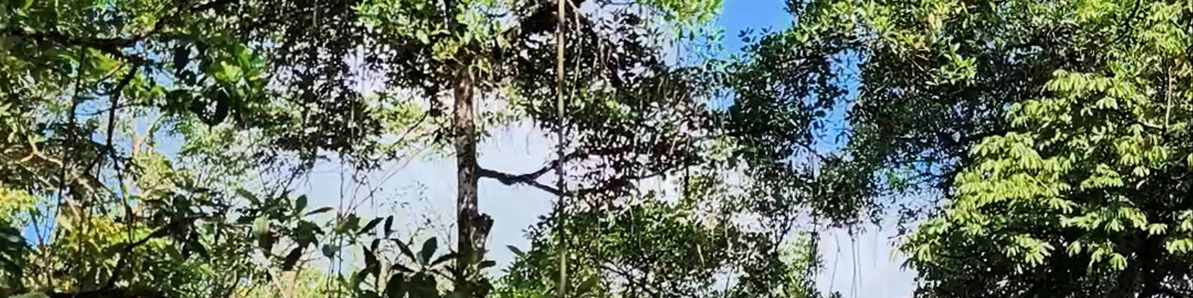 Rio Dulce