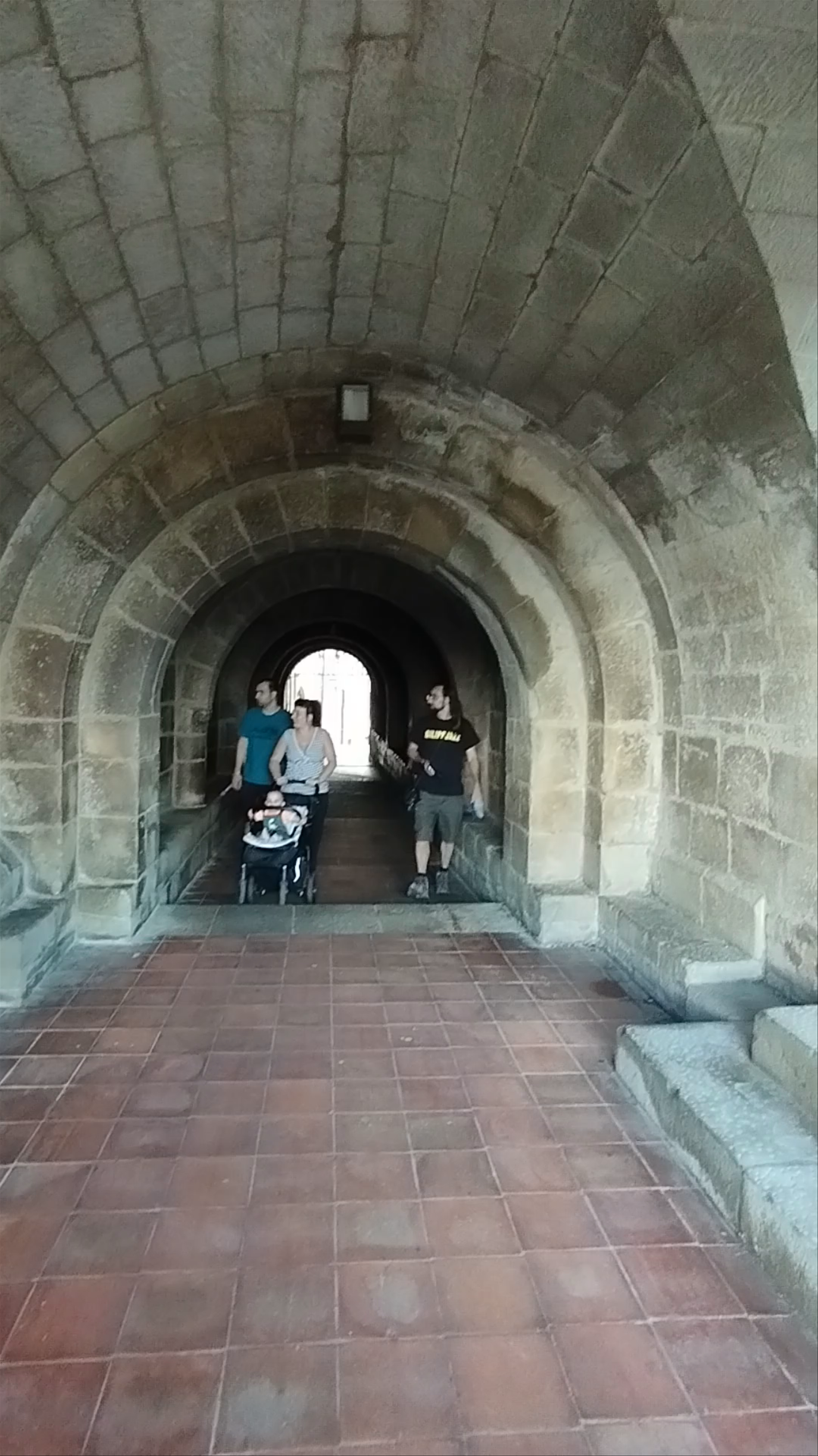 Muralla de Sos del Rey Católico