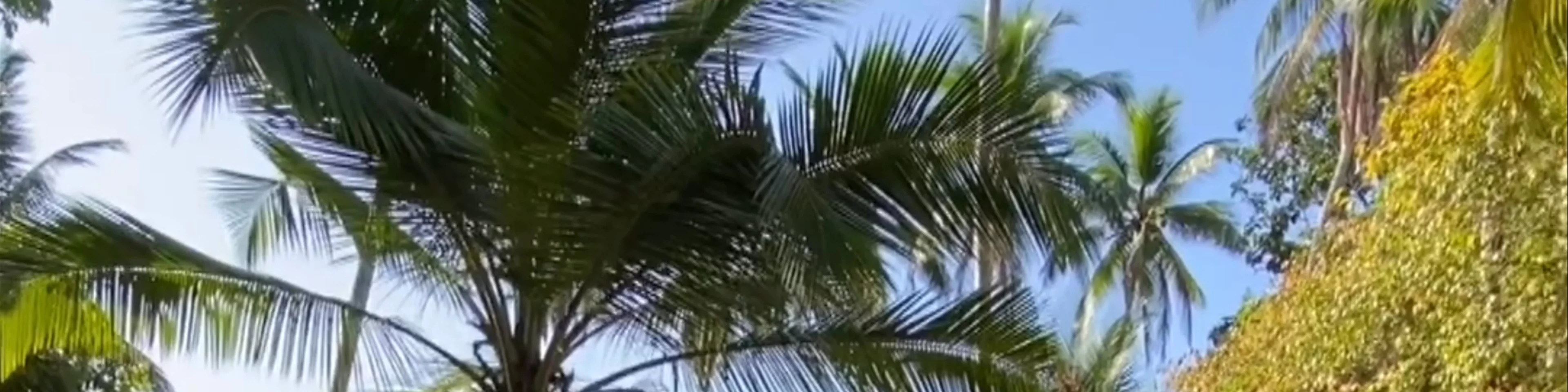 KAJU GREEN Eco lodges