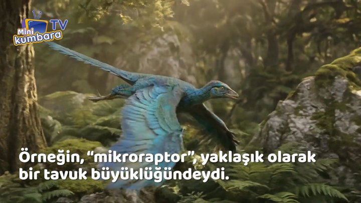thumbnail Biliyor muydun? Dinozorlar