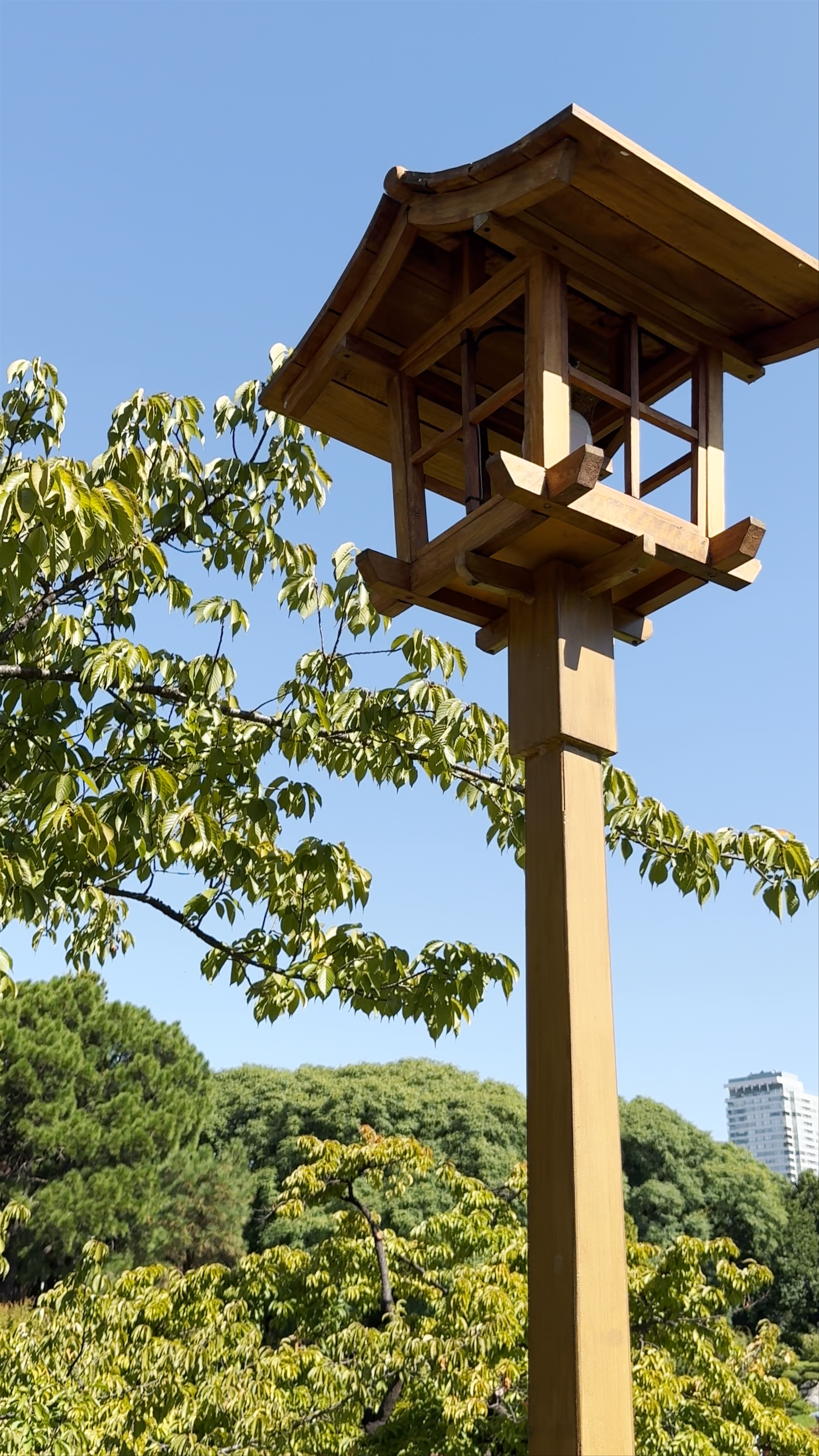 Jardín Japonés: Serene Japanese Garden Oasis in Buenos Aires