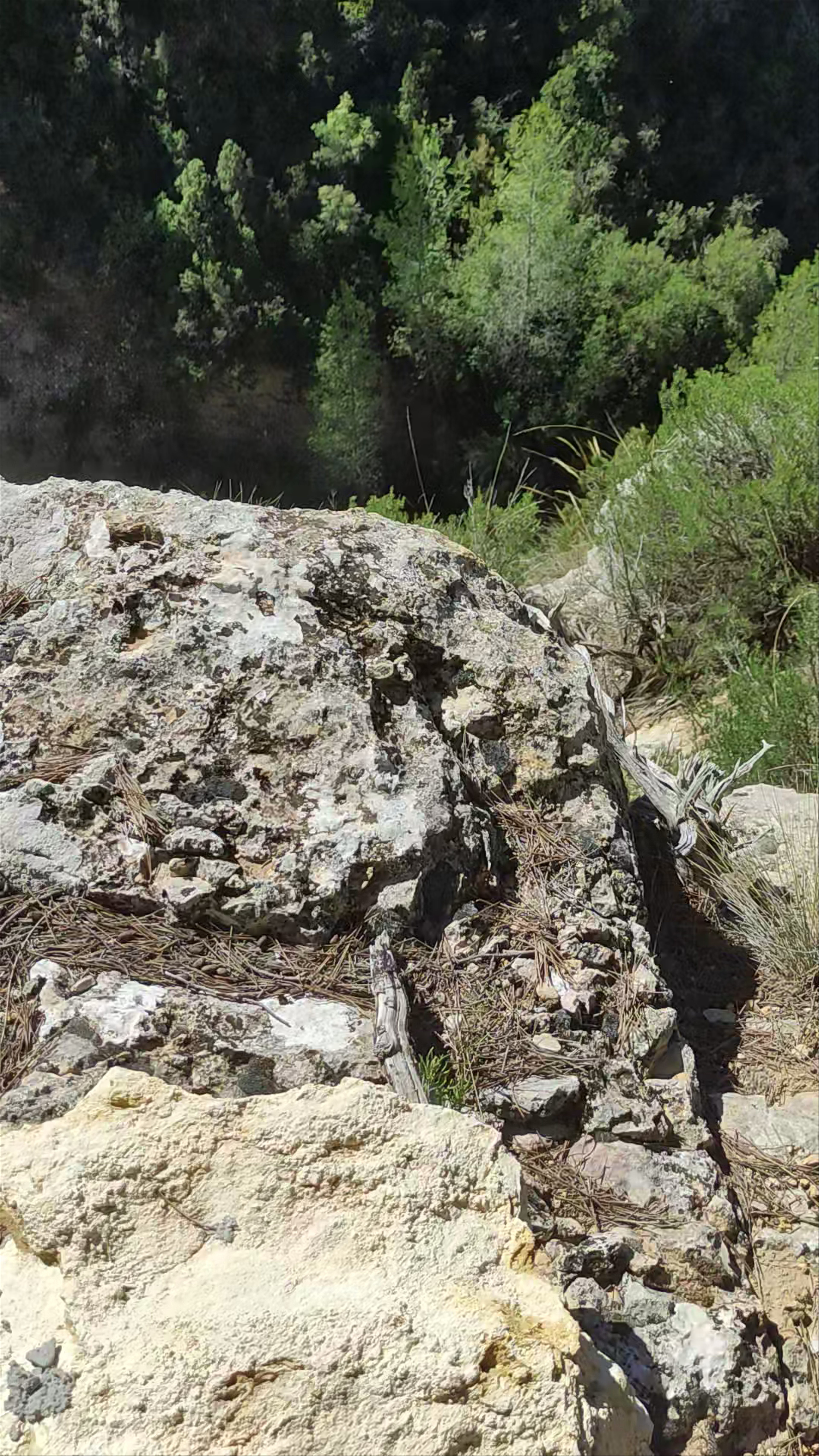 Reserva Natural de las Hoces del Cabriel