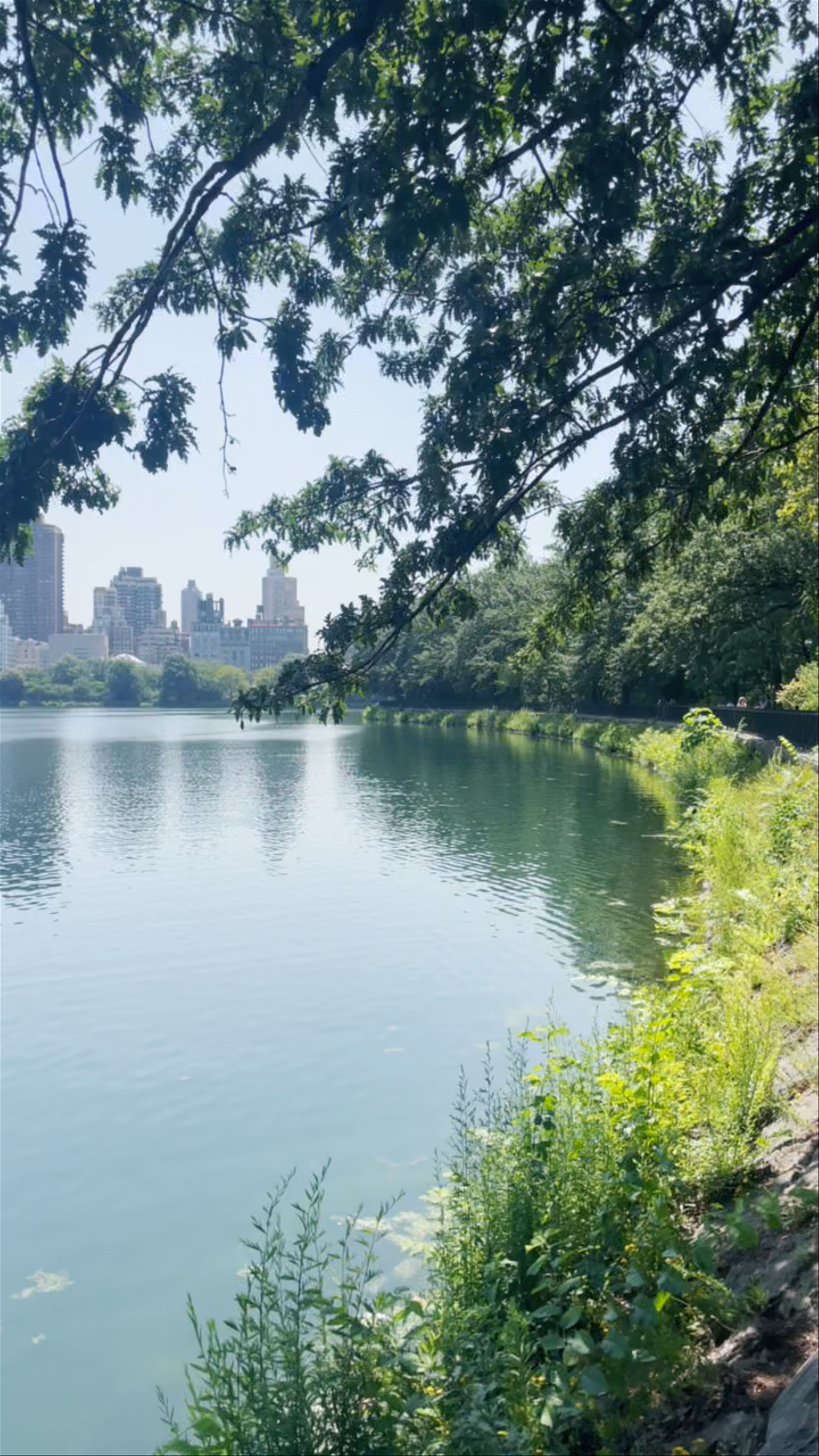Serene Lakeside Escape in Central Park, New York
