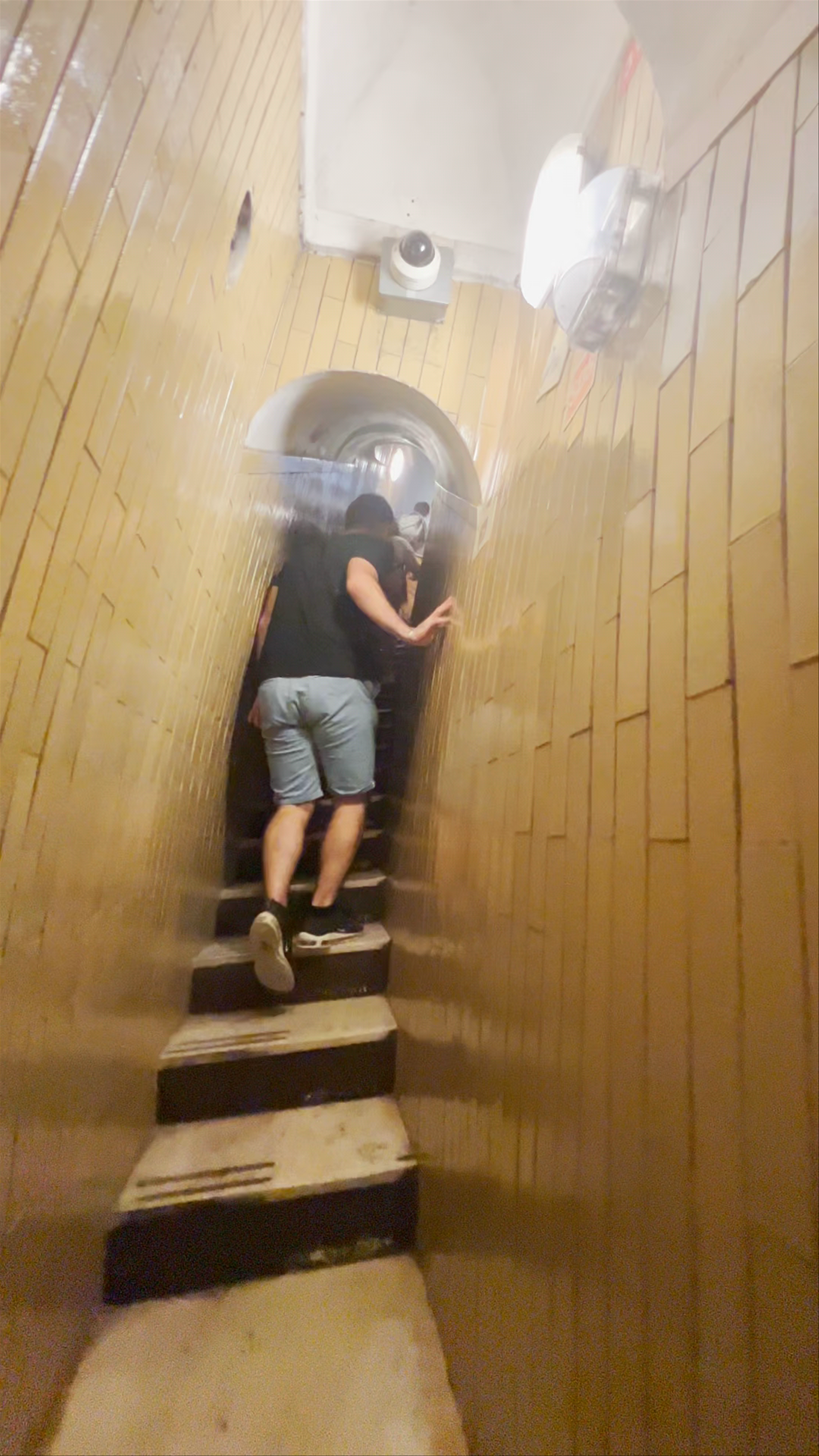 Basilica di San Pietro