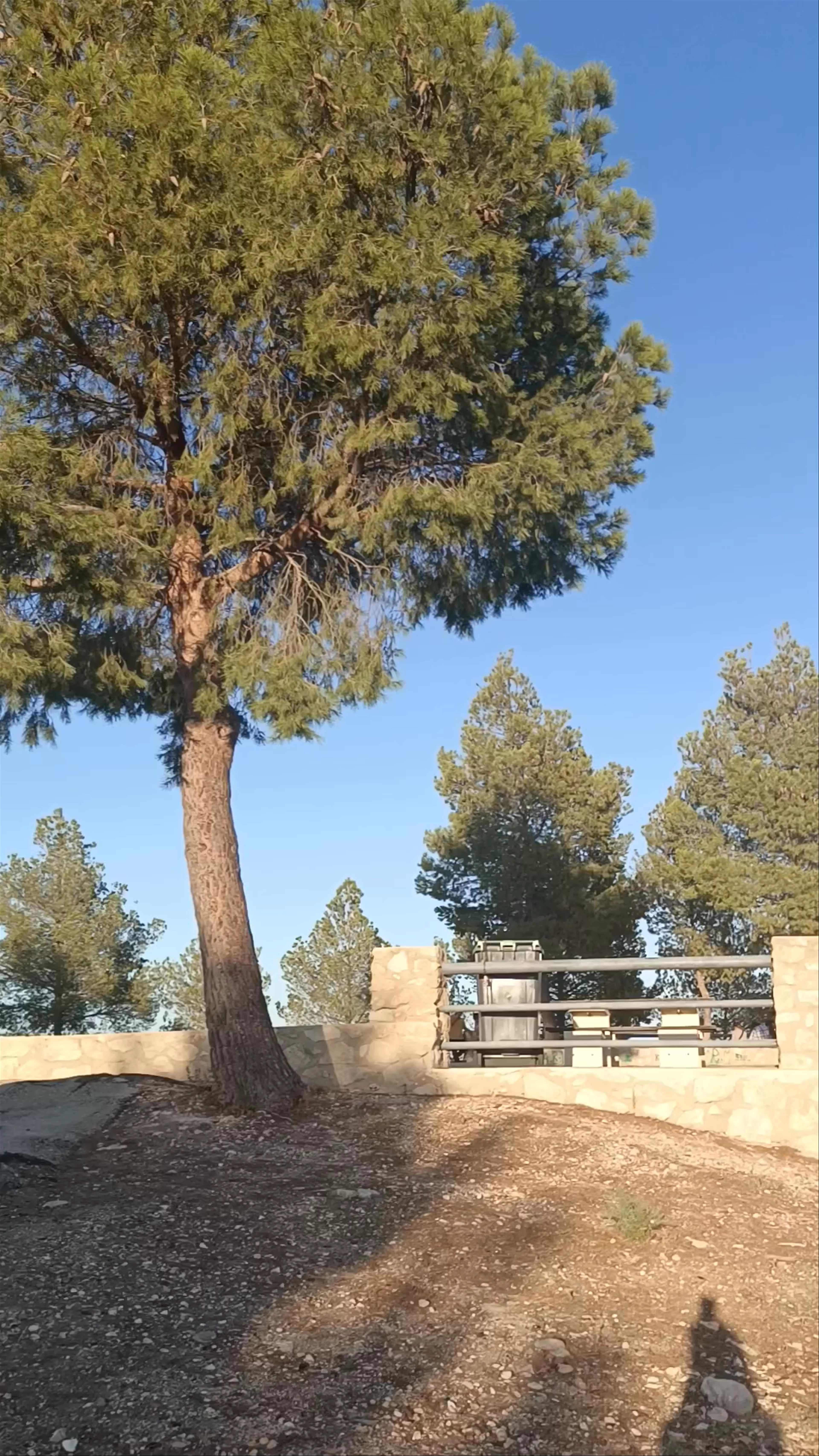 Mirador de las Lomas