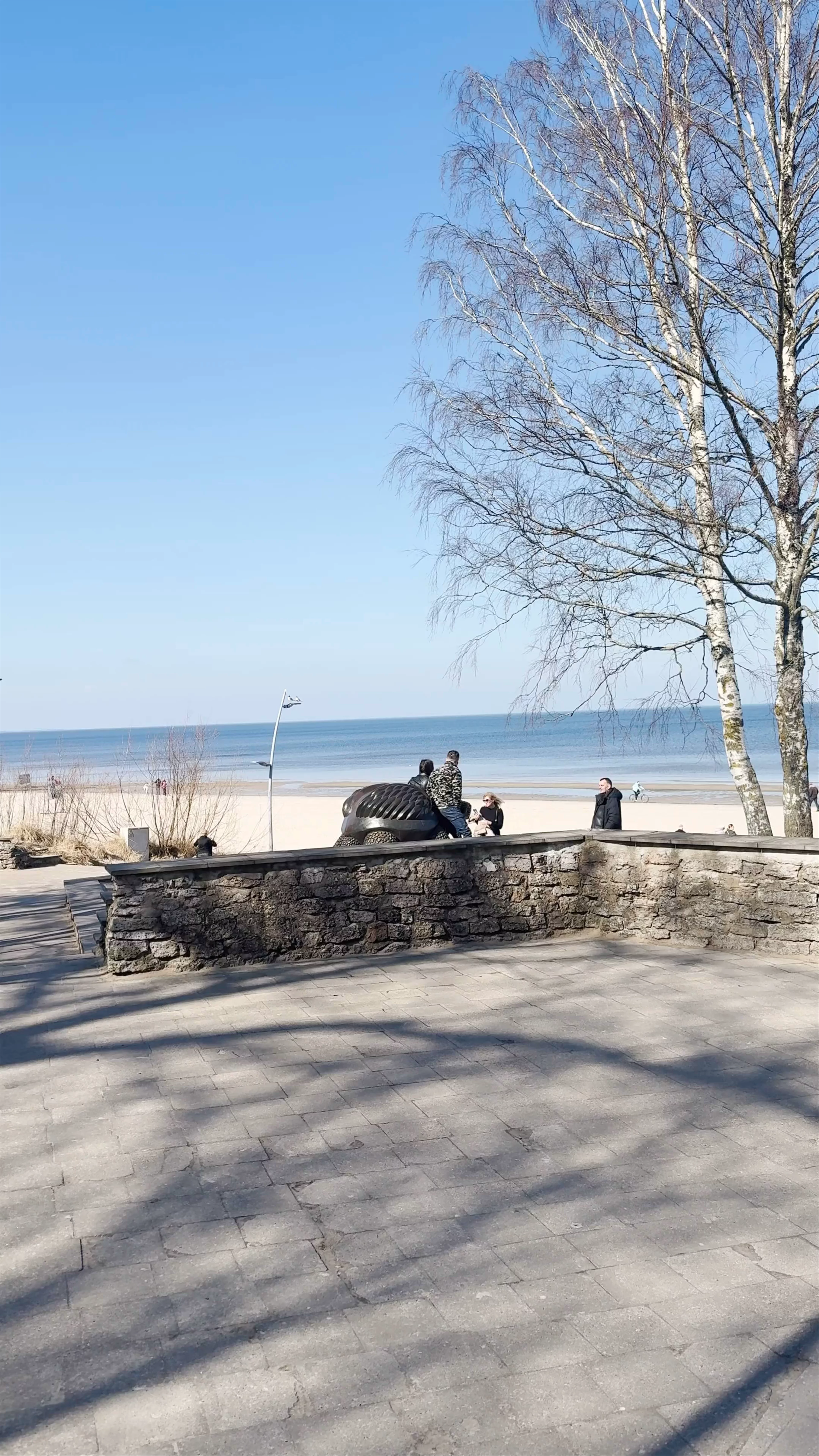 The Beach Majori