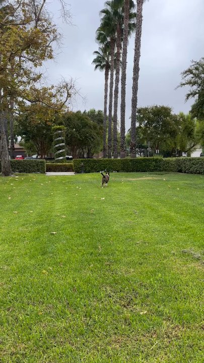 Inspiration Park - Parks Near Me - Chino, California