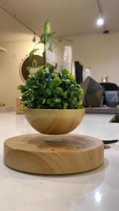 Sinceretea - So cool! - Bubble Tea Near Me - San Jose, California