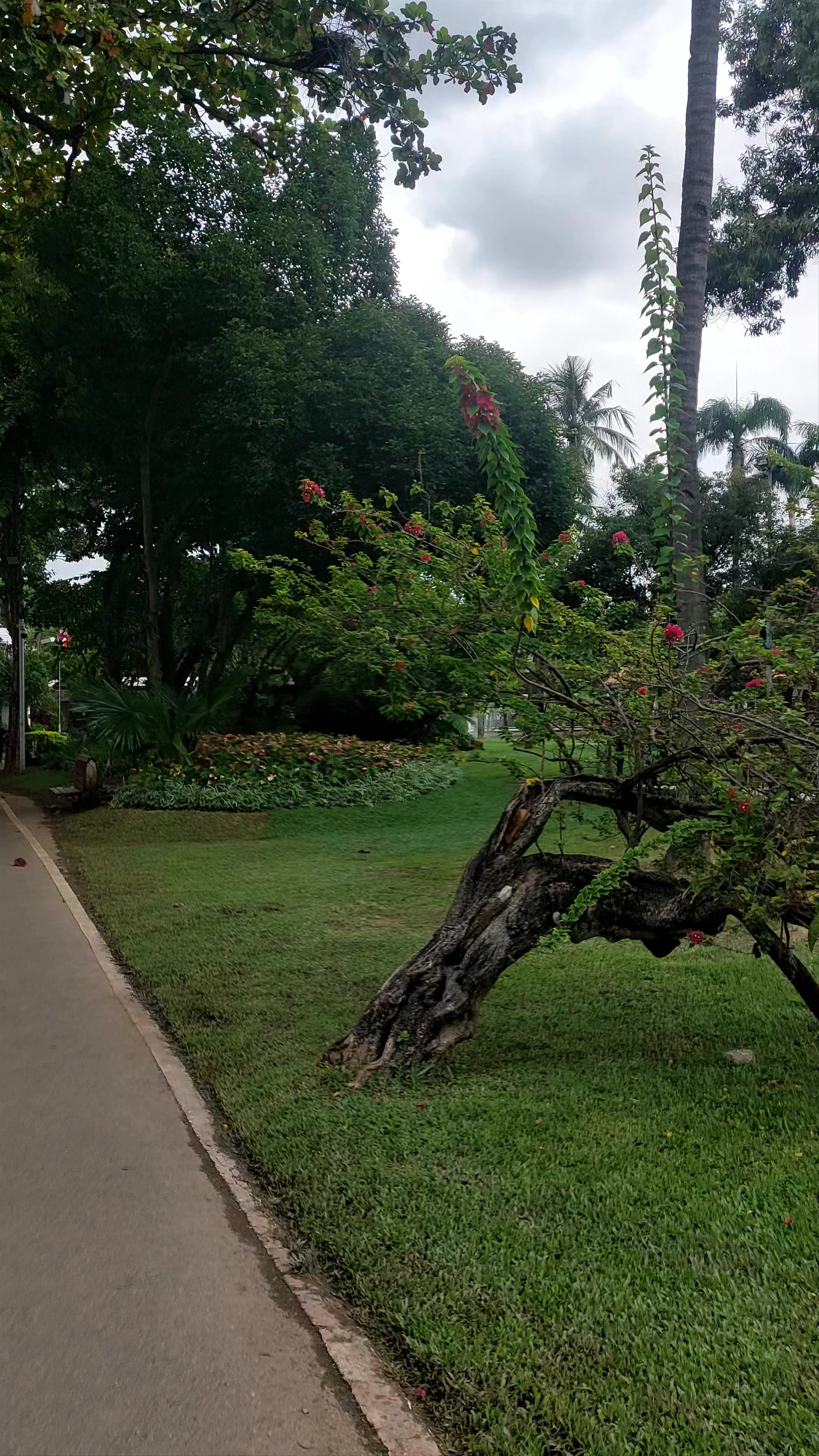 Buak Hard Public Park