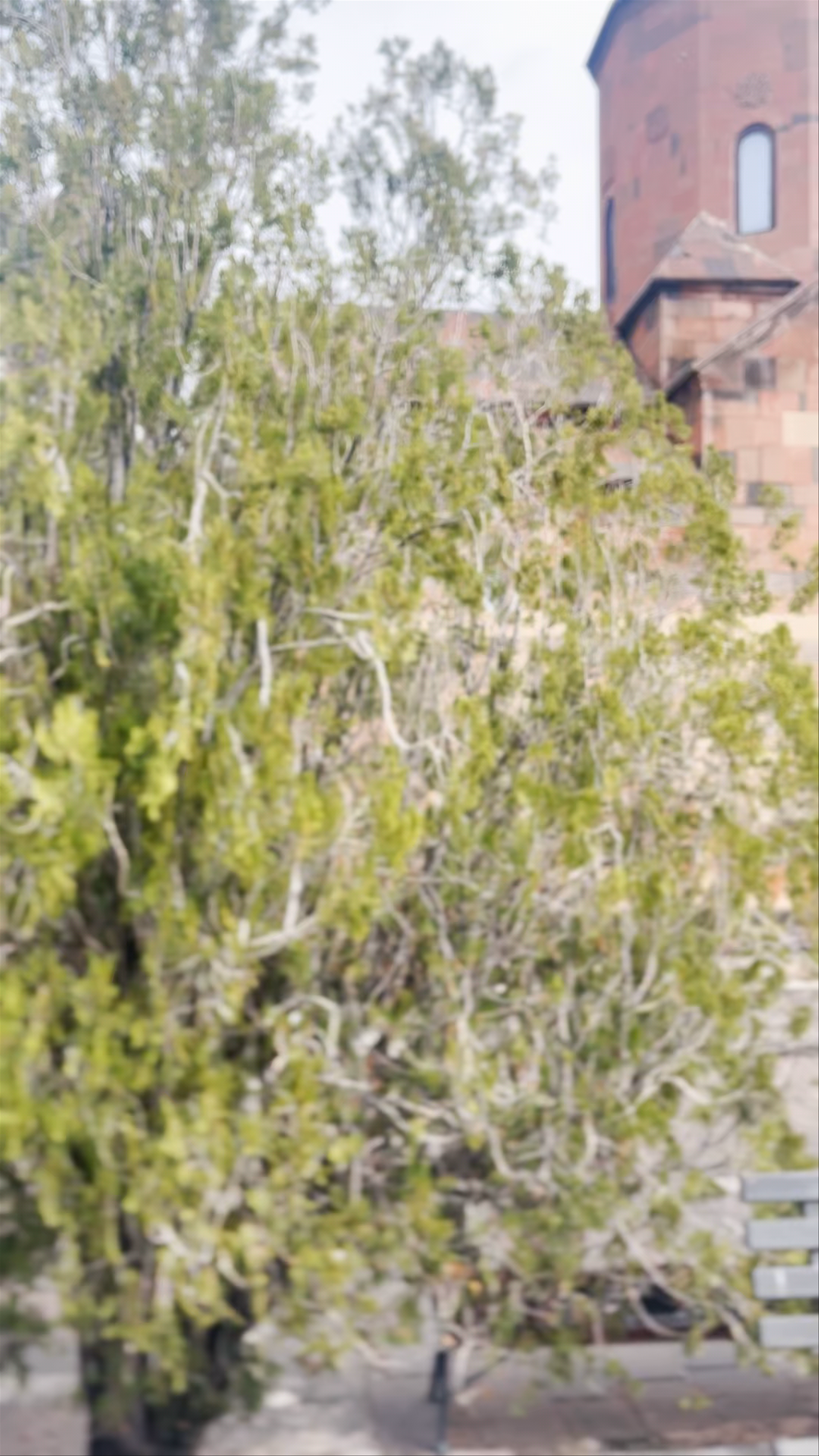 Khor Virap Monastery