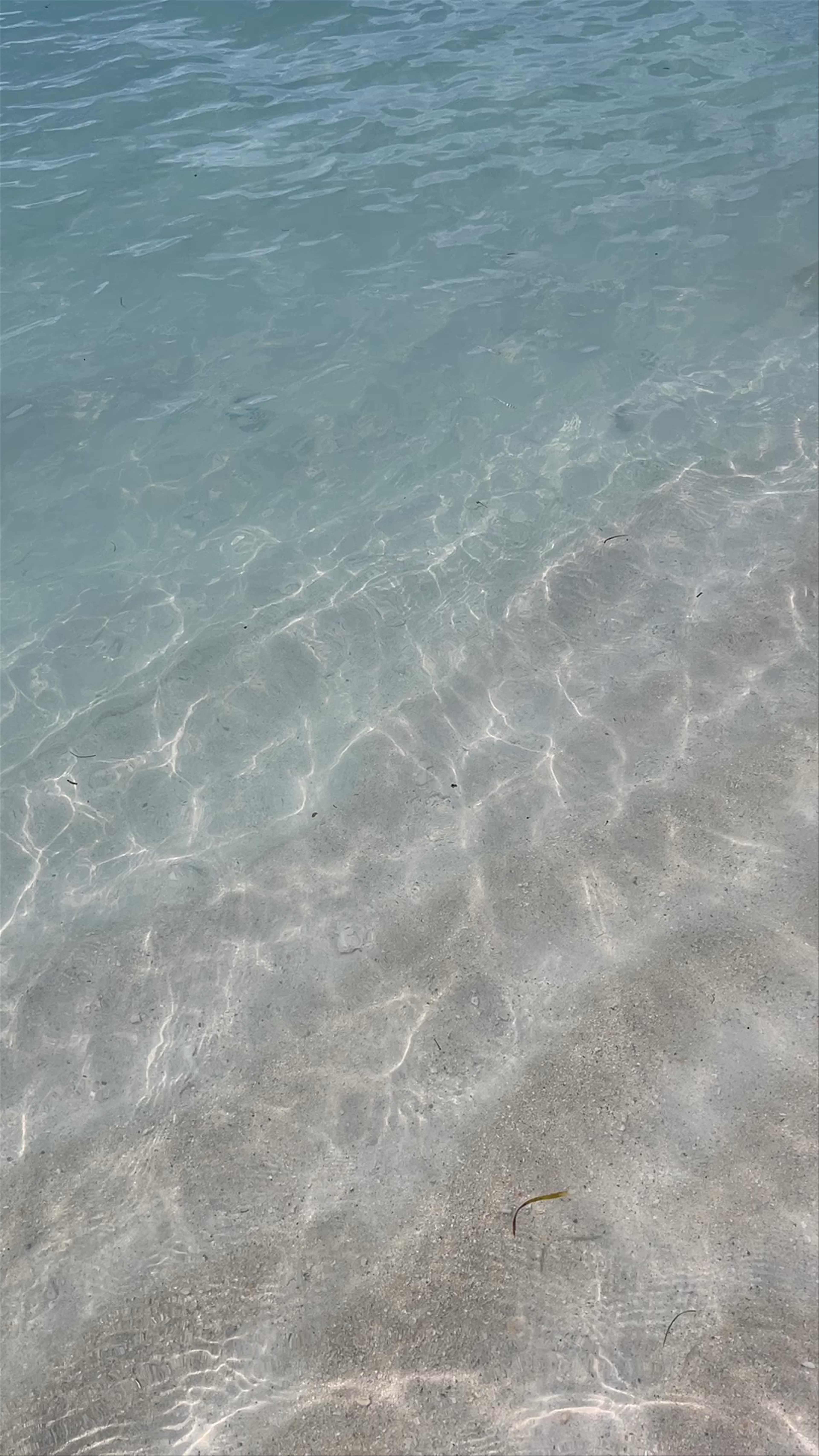 Rashdoo Bikini Beach