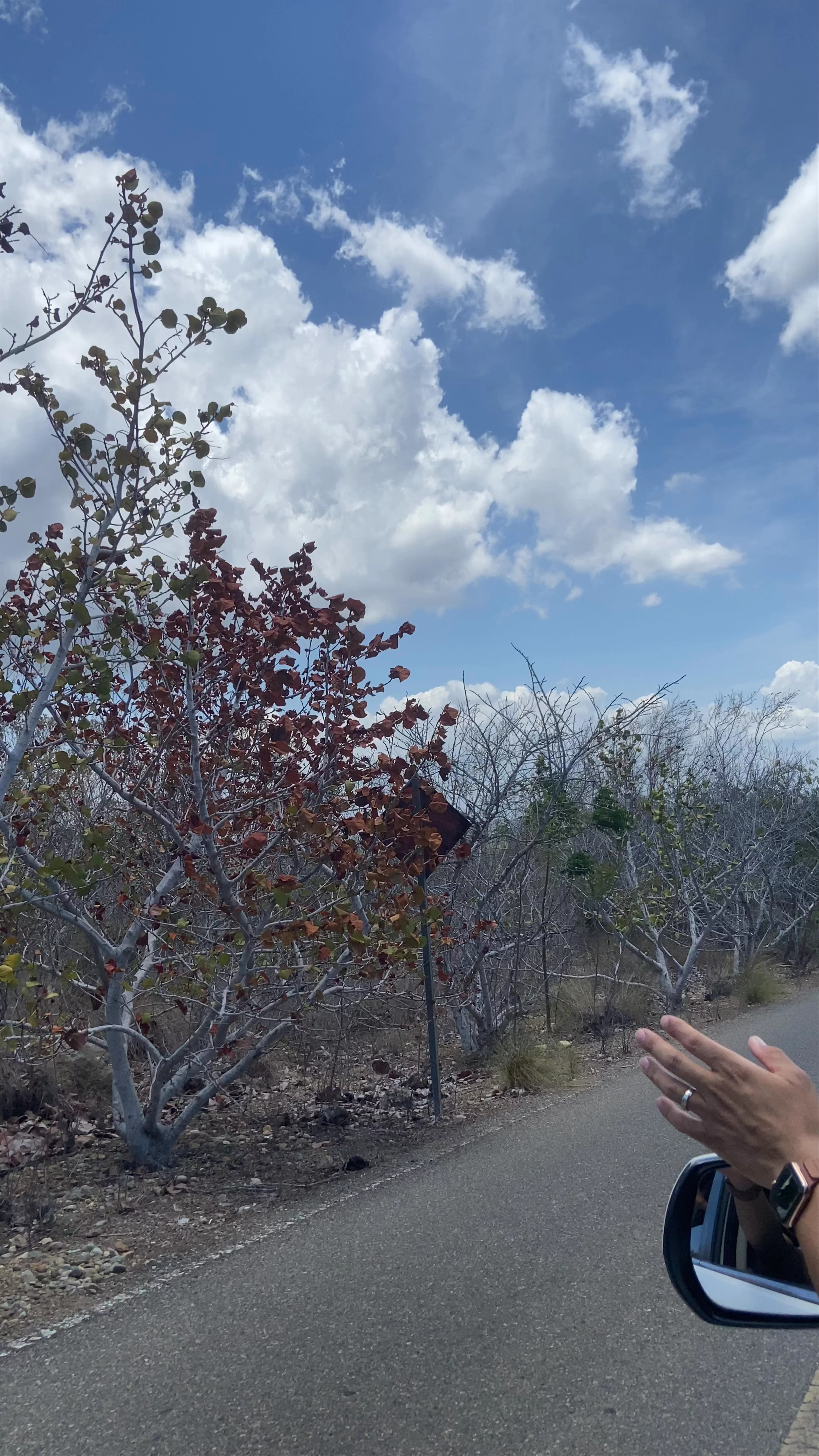 San Fernando de Monte Cristi