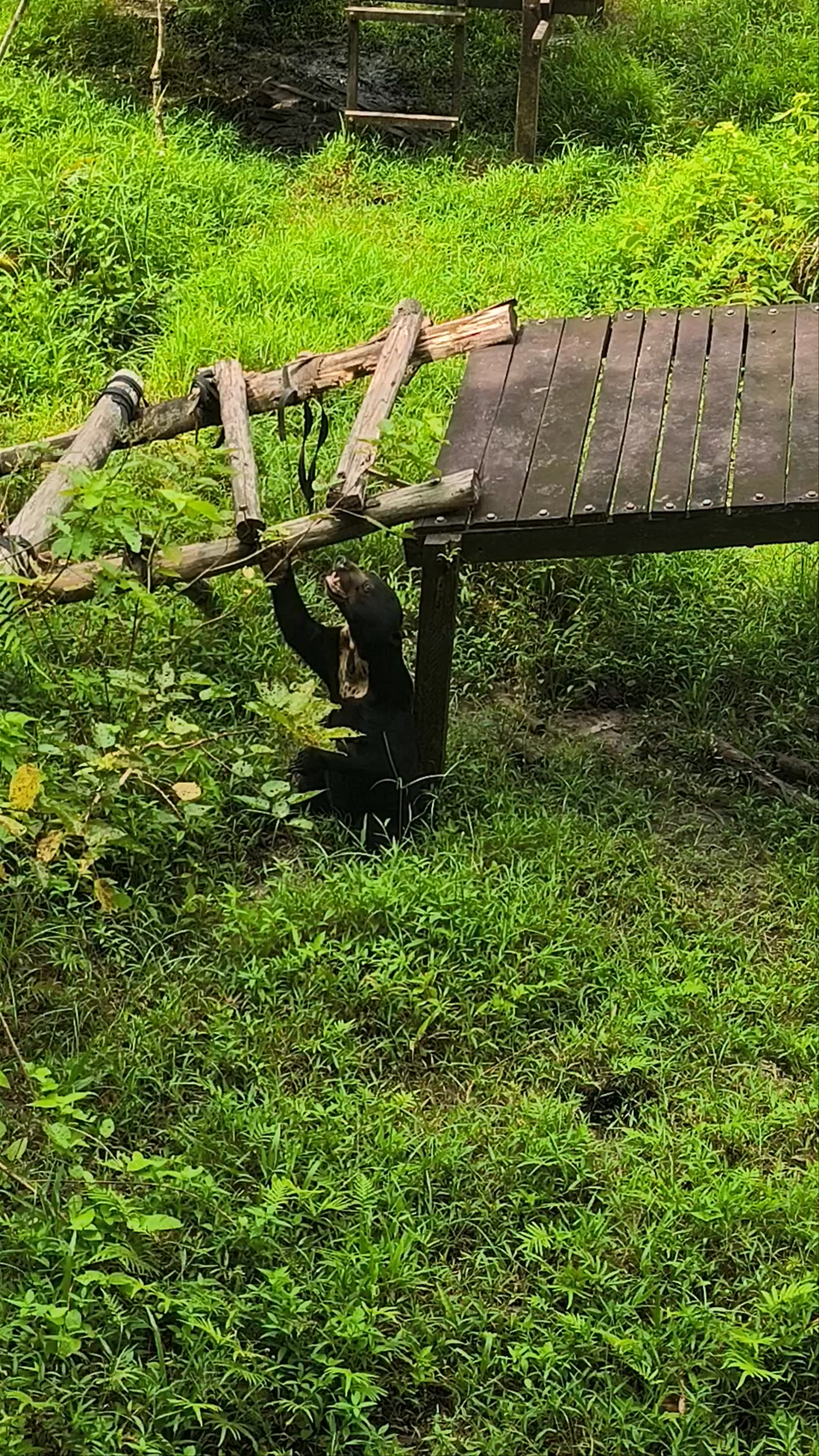 Matang Wildlife Centre