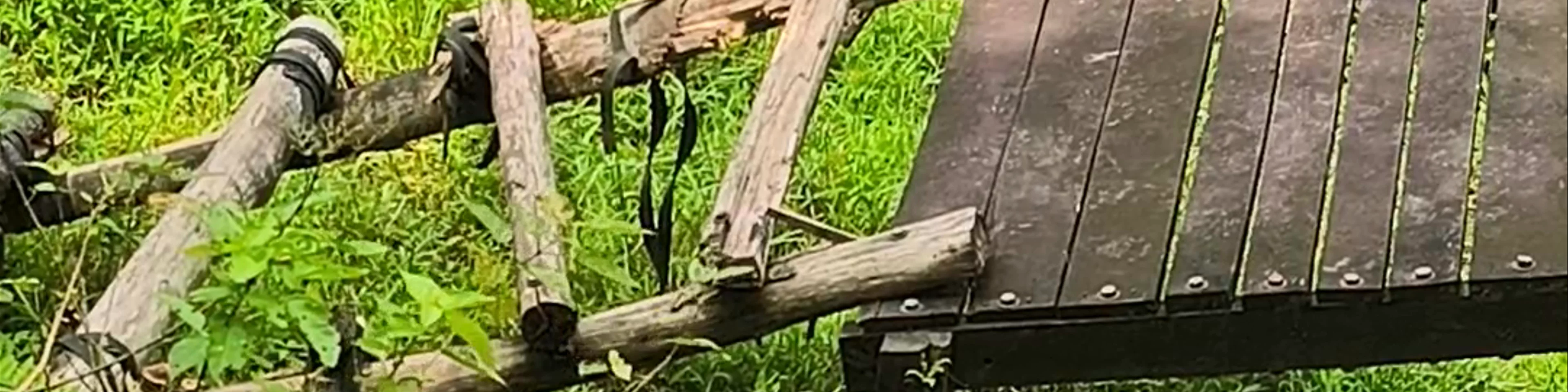Matang Wildlife Centre