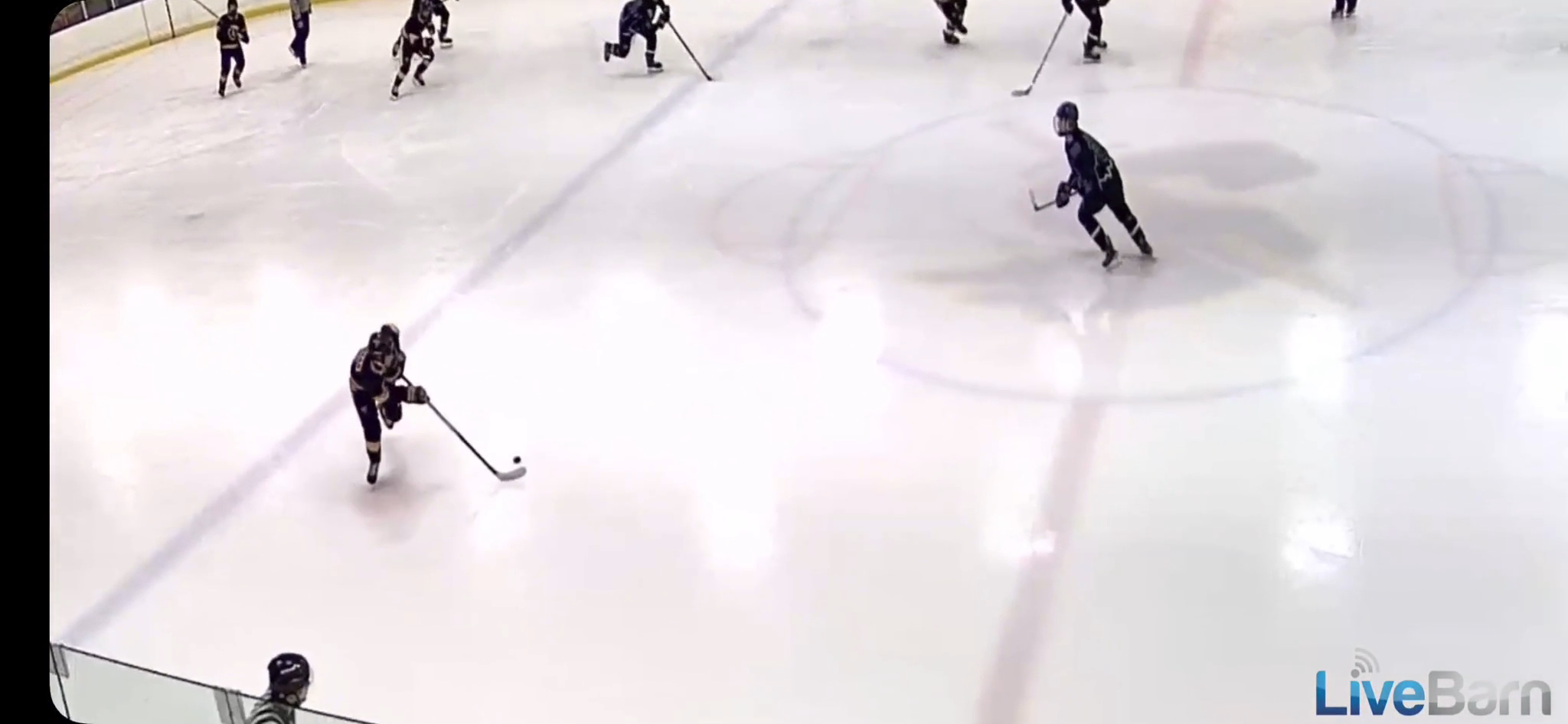 Gregory Evensen: Defensive Masterclass with West Dundee Leafs 18U AA