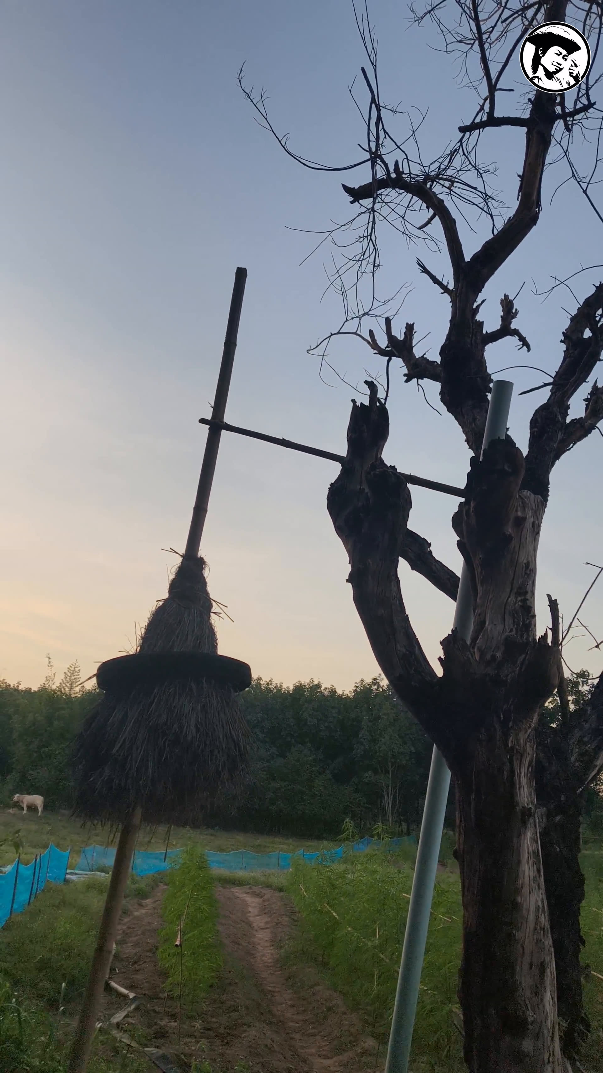 The Witcher Broom PrempaveeApp