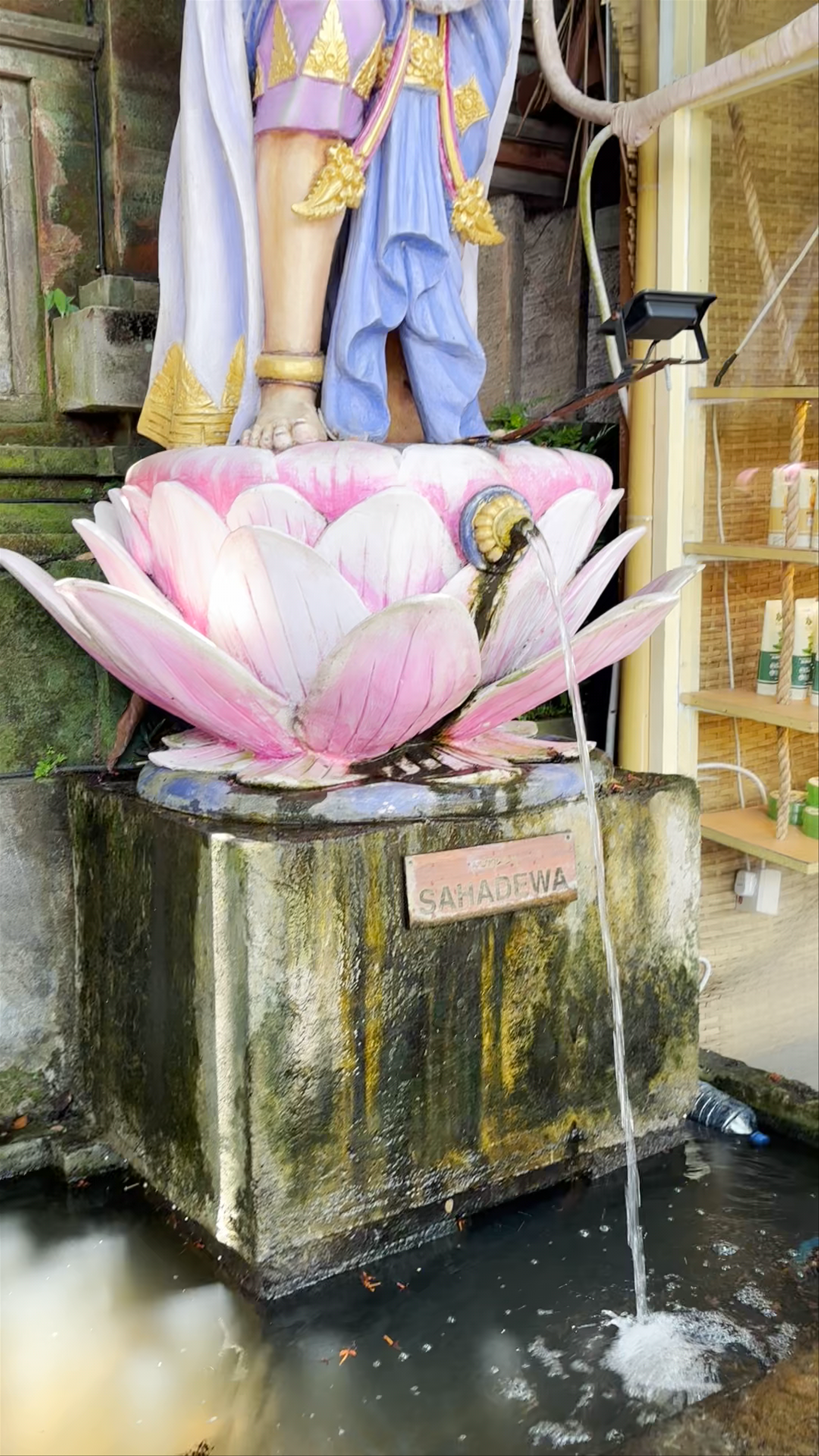 Ubud Water Palace