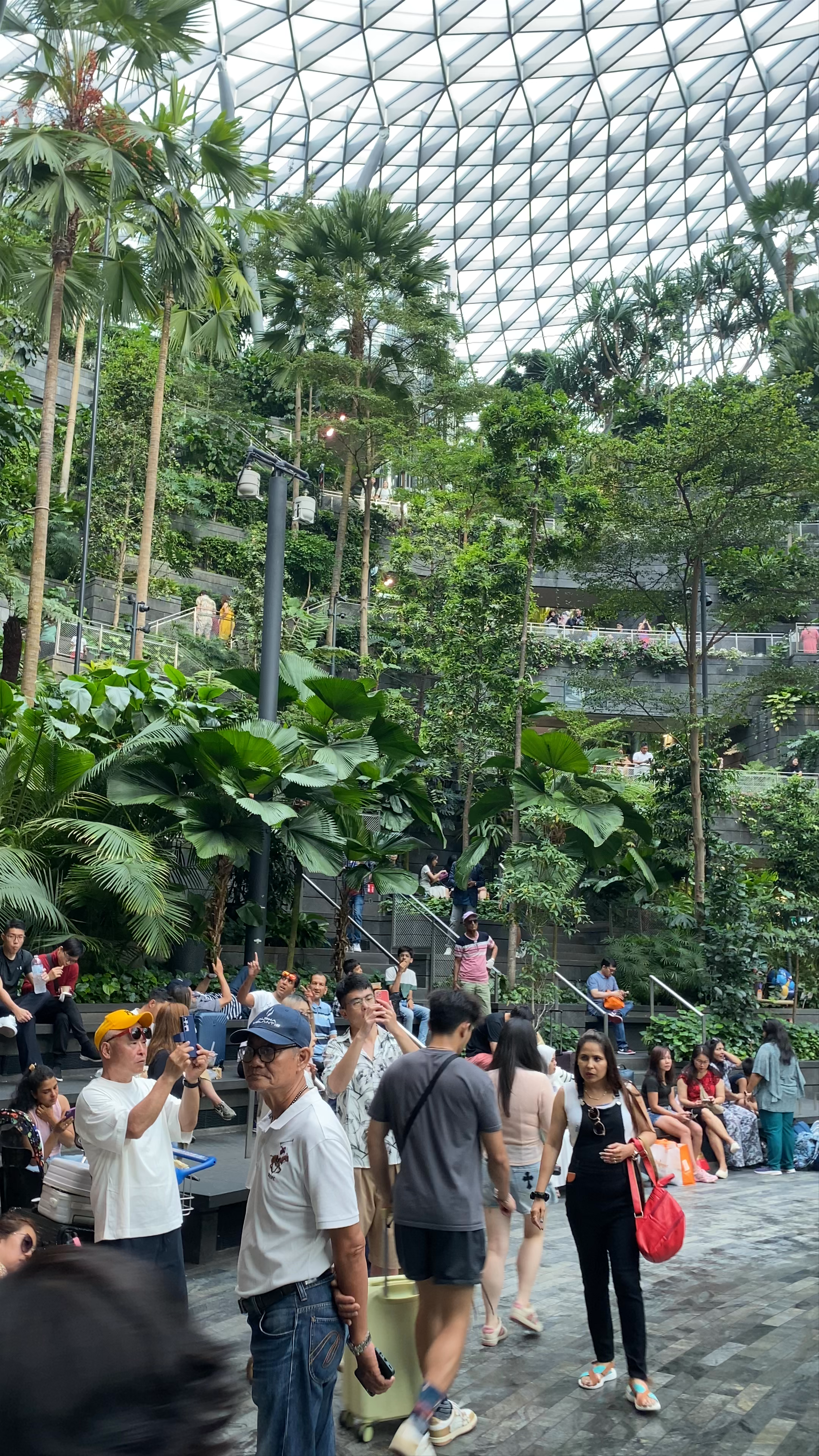 Jewel Changi Airport: A Tropical Oasis Under Glass
