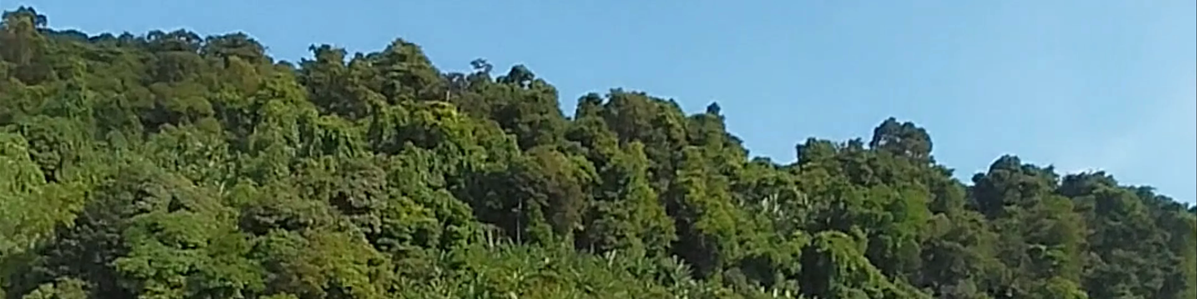 Pulau Perhentian Kecil