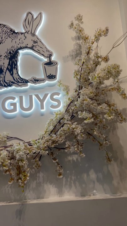 Boba Guys - Ambiance inside - Coffee & Tea Near Me - San Jose, California