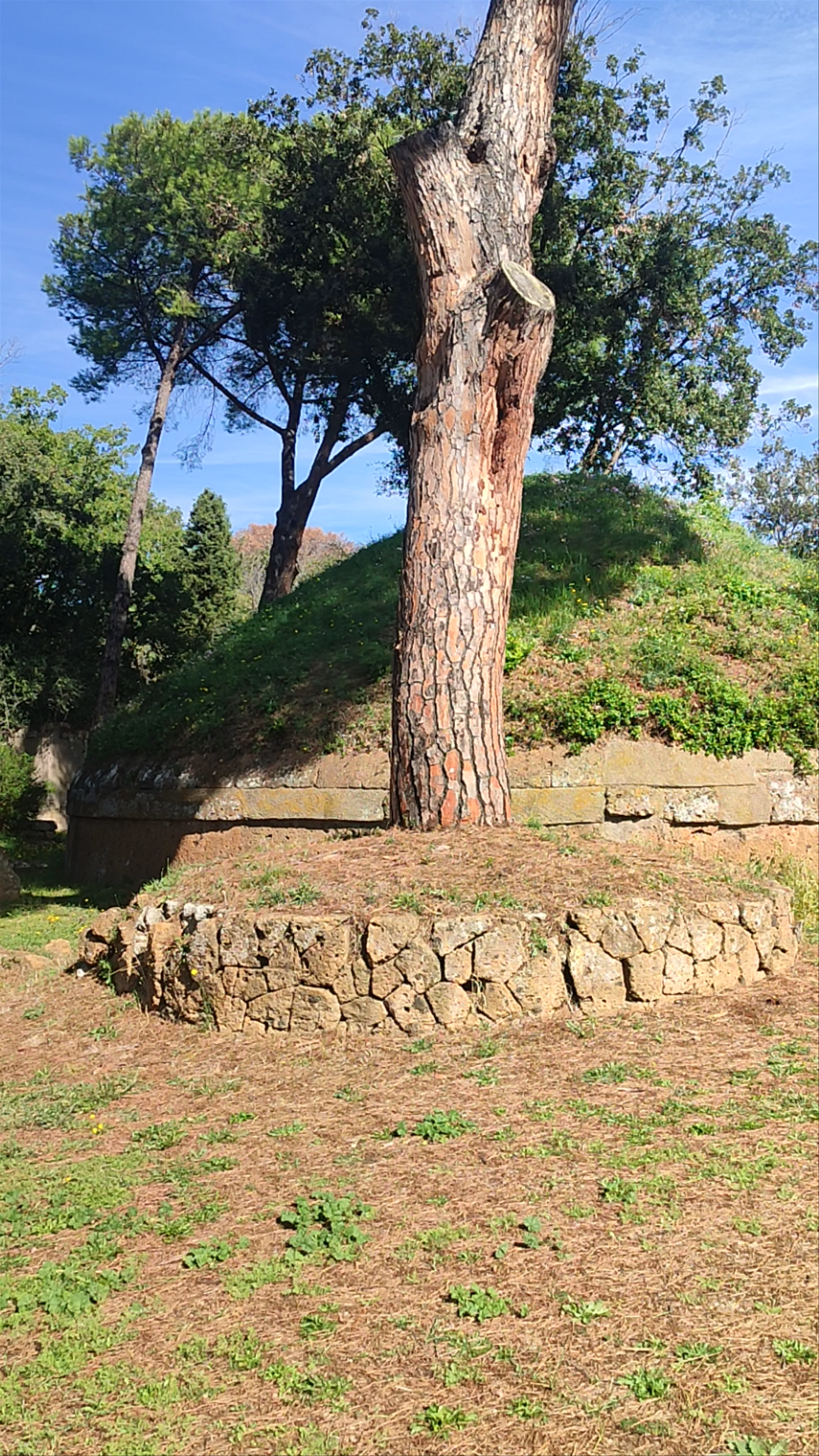 Necropoli della Banditaccia