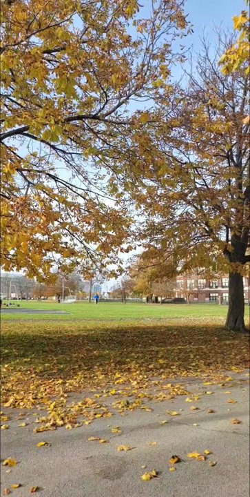 JFK Recreation Center - Fall - Recreation Centers Near Me - Buffalo, New York