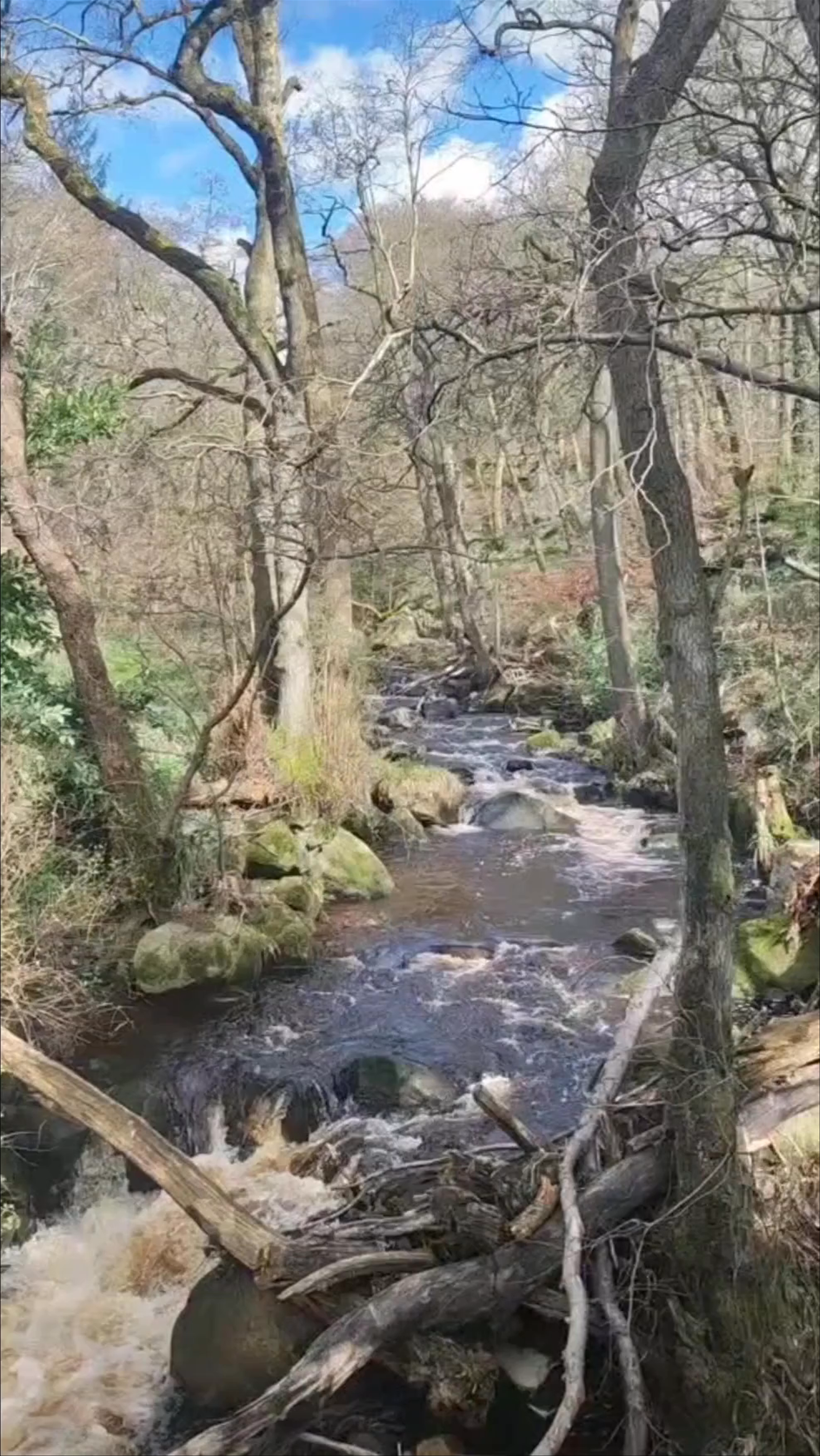 National Trust - Padley Gorge