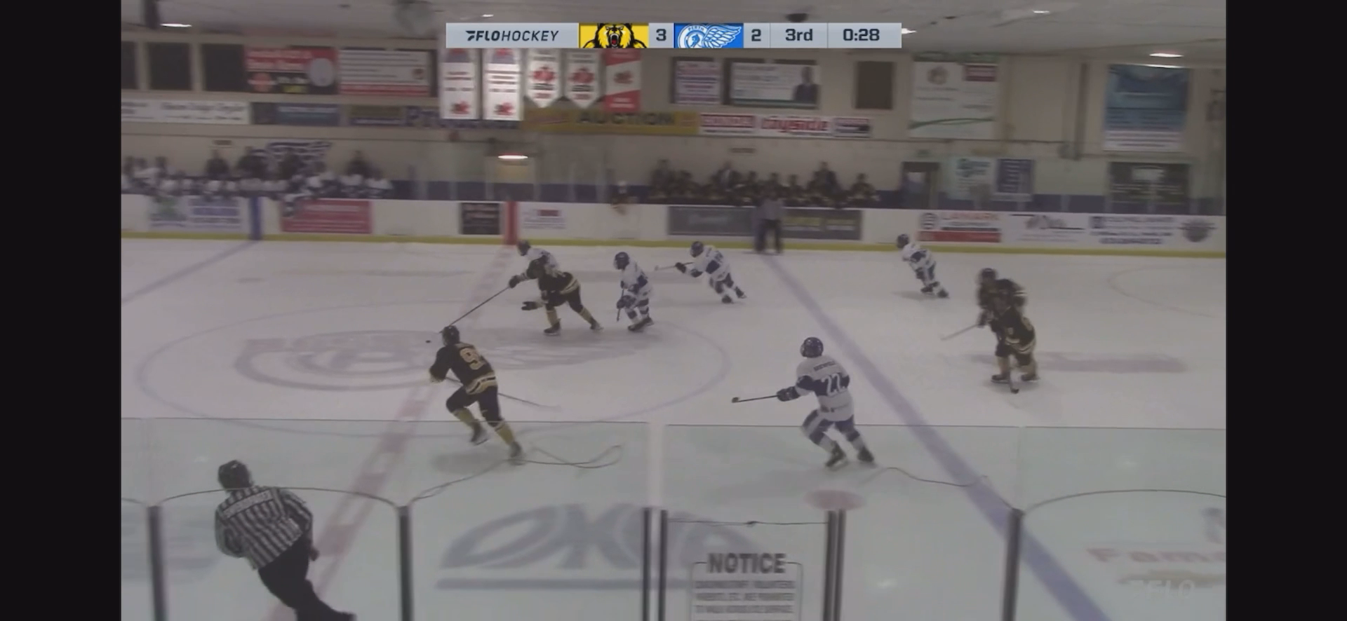 Jordan Parsons: Defensive stop on blue line turns into empty net goal.