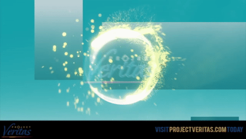 Video Thumbnail Loop