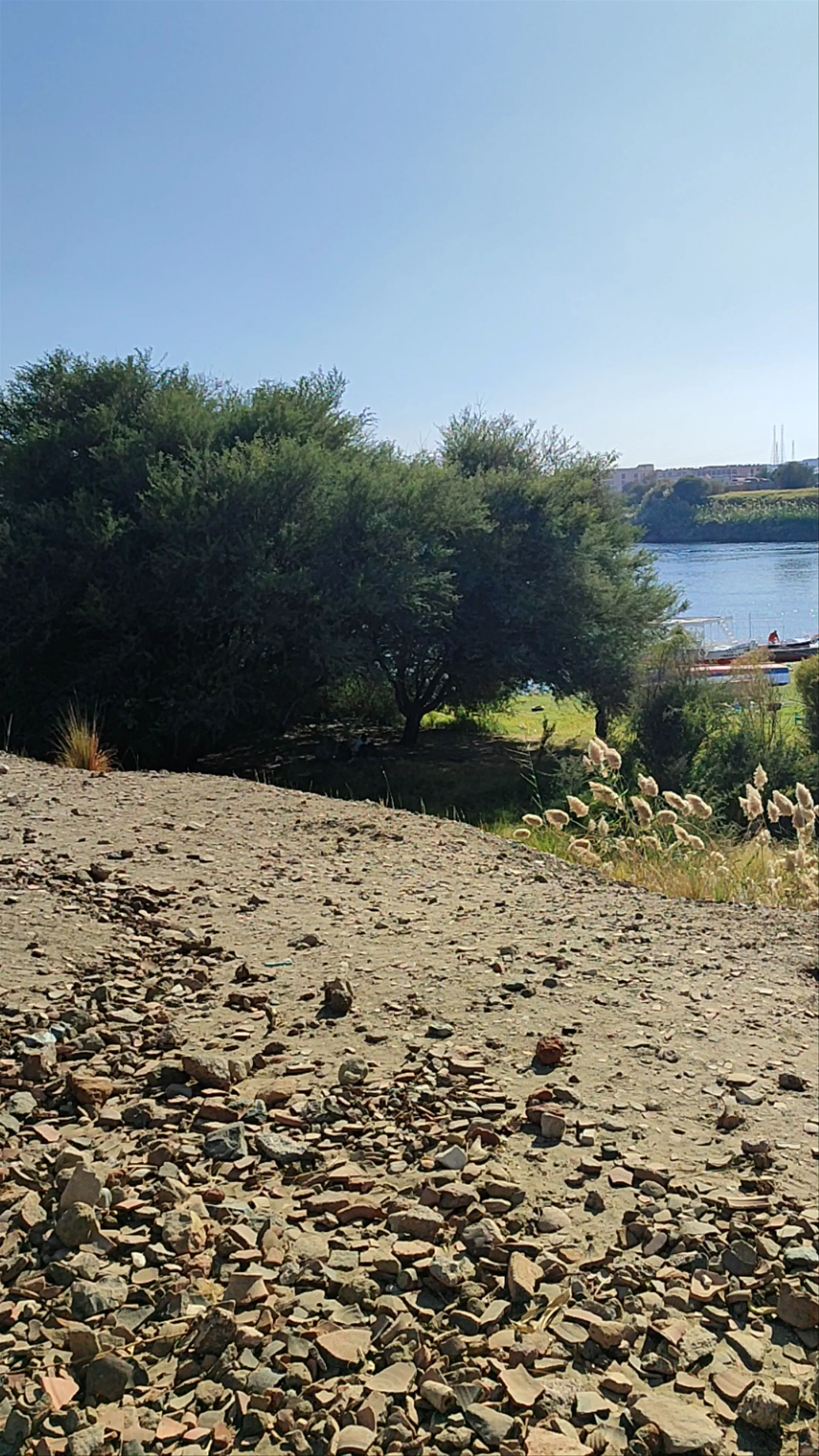 Elephantine Island