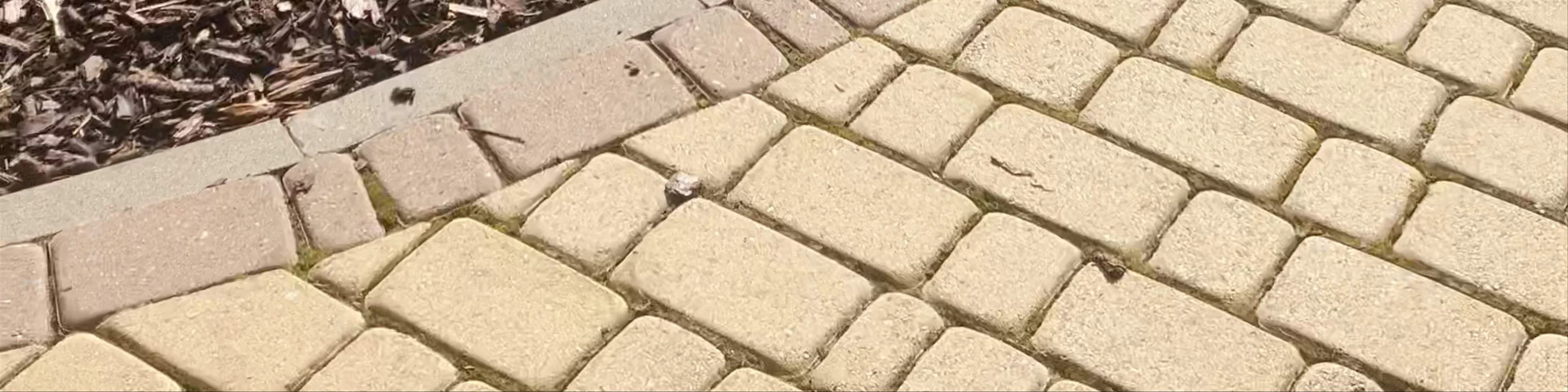 Ludzas pilsētas parks