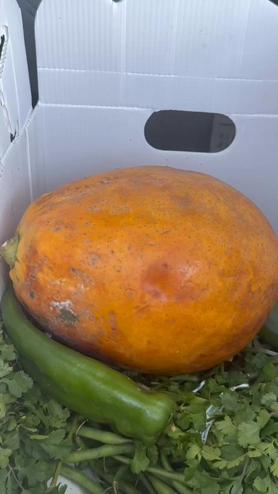 West Valley Family YMCA - papaya i got today 3/11/2026 were rotten yuck i opened one it had worms - Gyms Near Me - Reseda, California