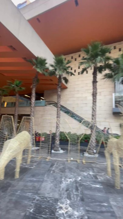 Miyana - Shopping Centers Near Me - Ciudad de México, DIF