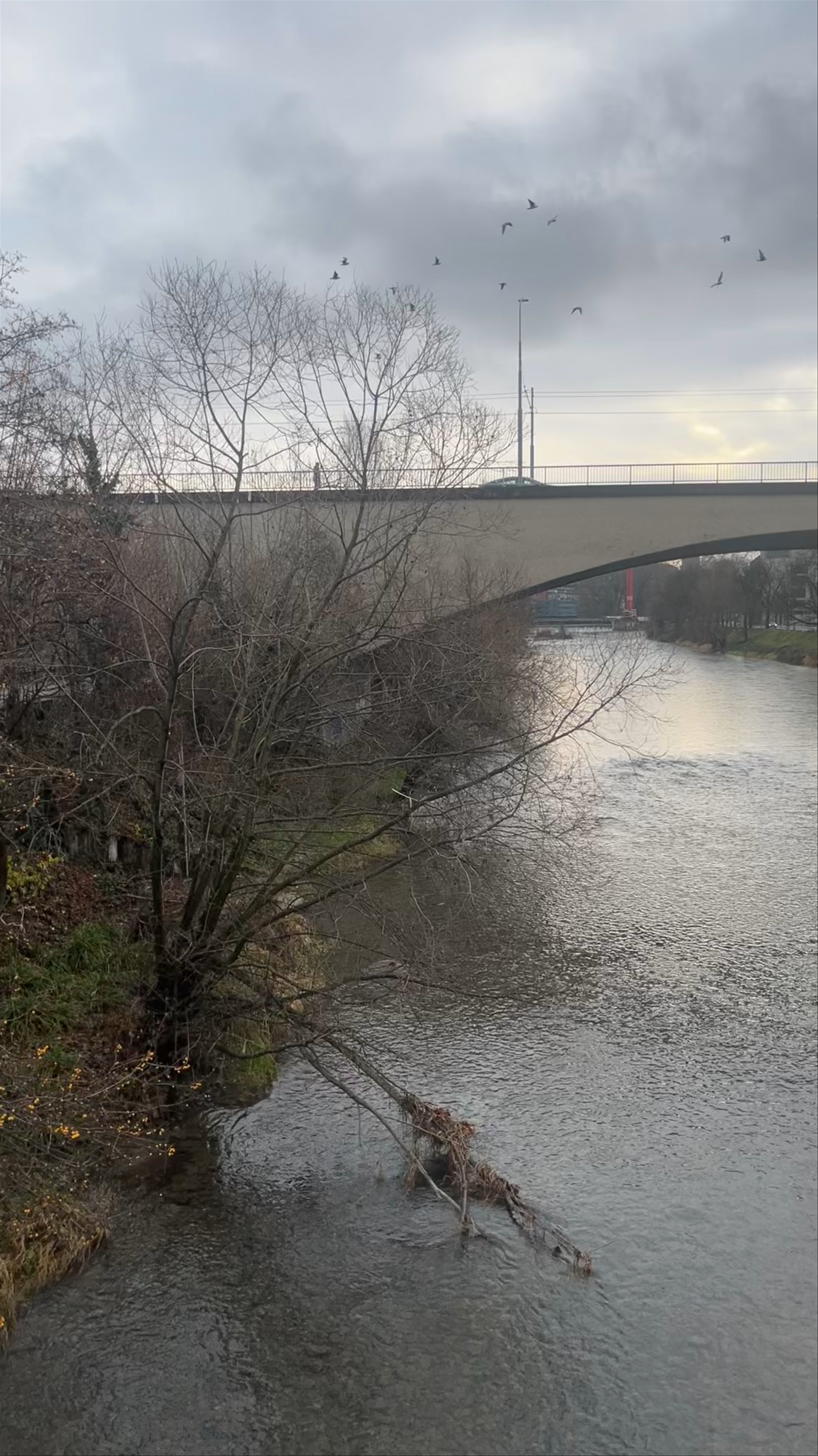 Lettensteg Bridge Walk: Moody Winter Vibes in Zürich