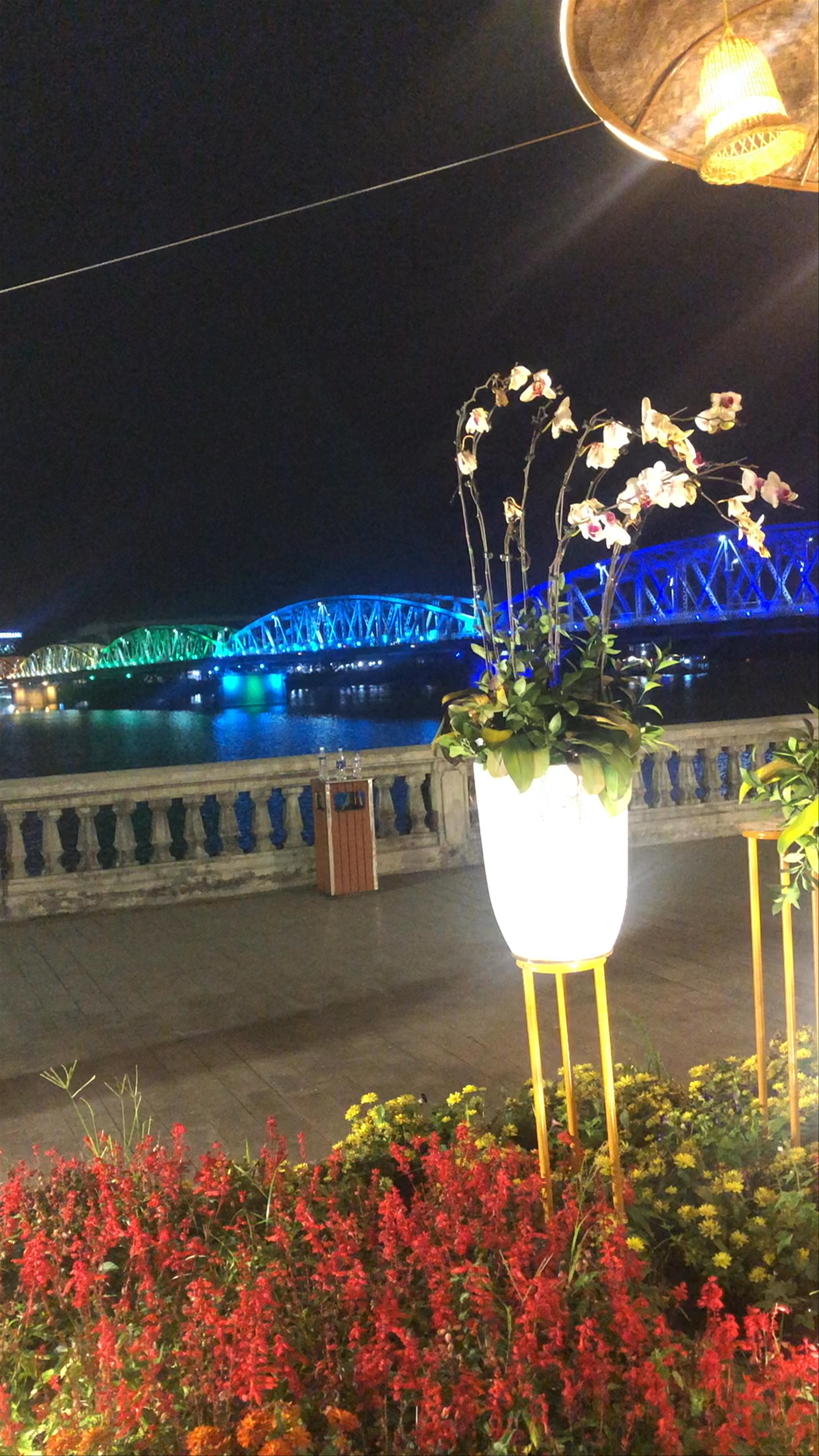 Tứ Tượng Park Nightscape: Illuminated Floral Serenity in Huế
