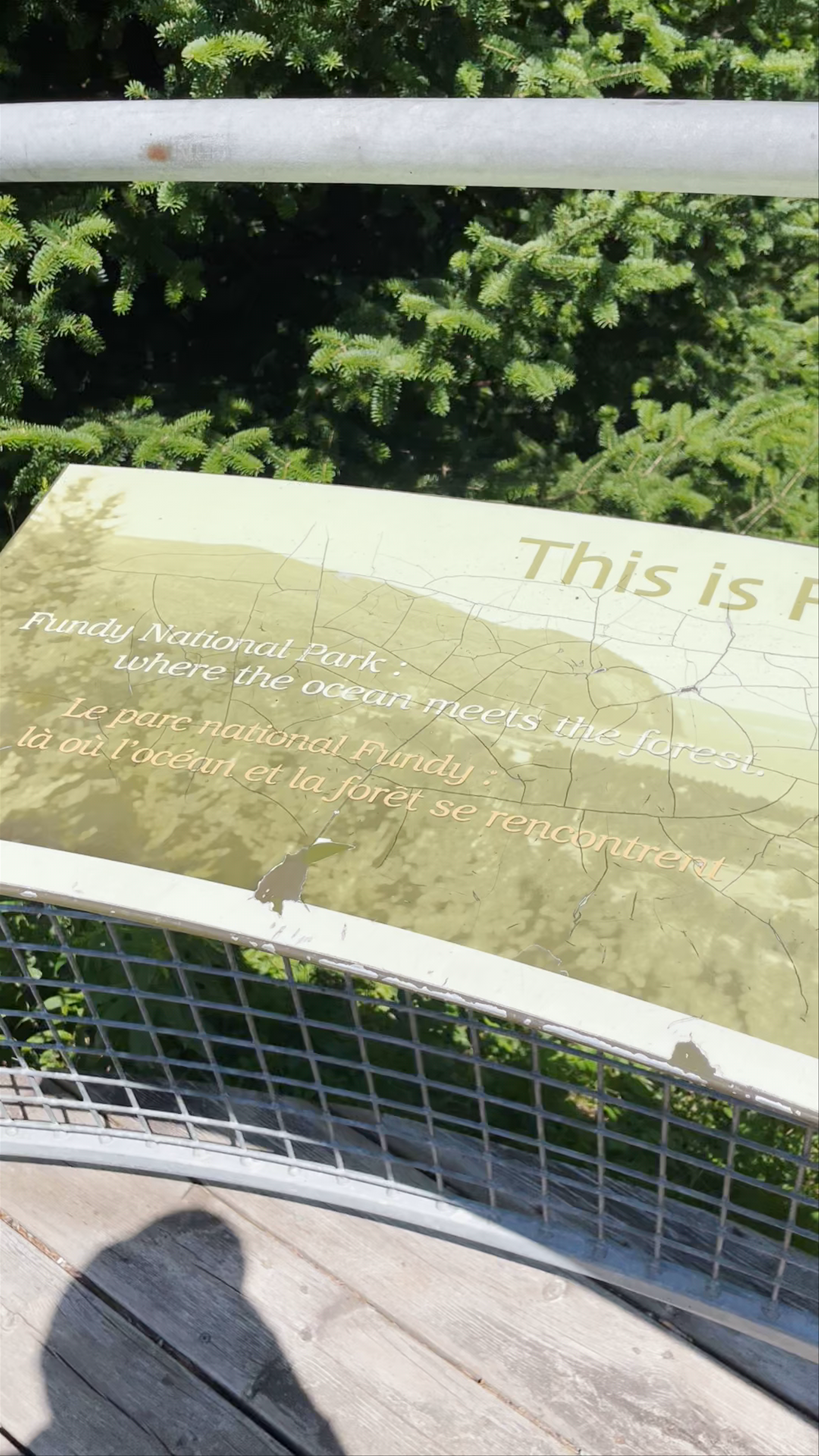 Dickson Falls Trailhead