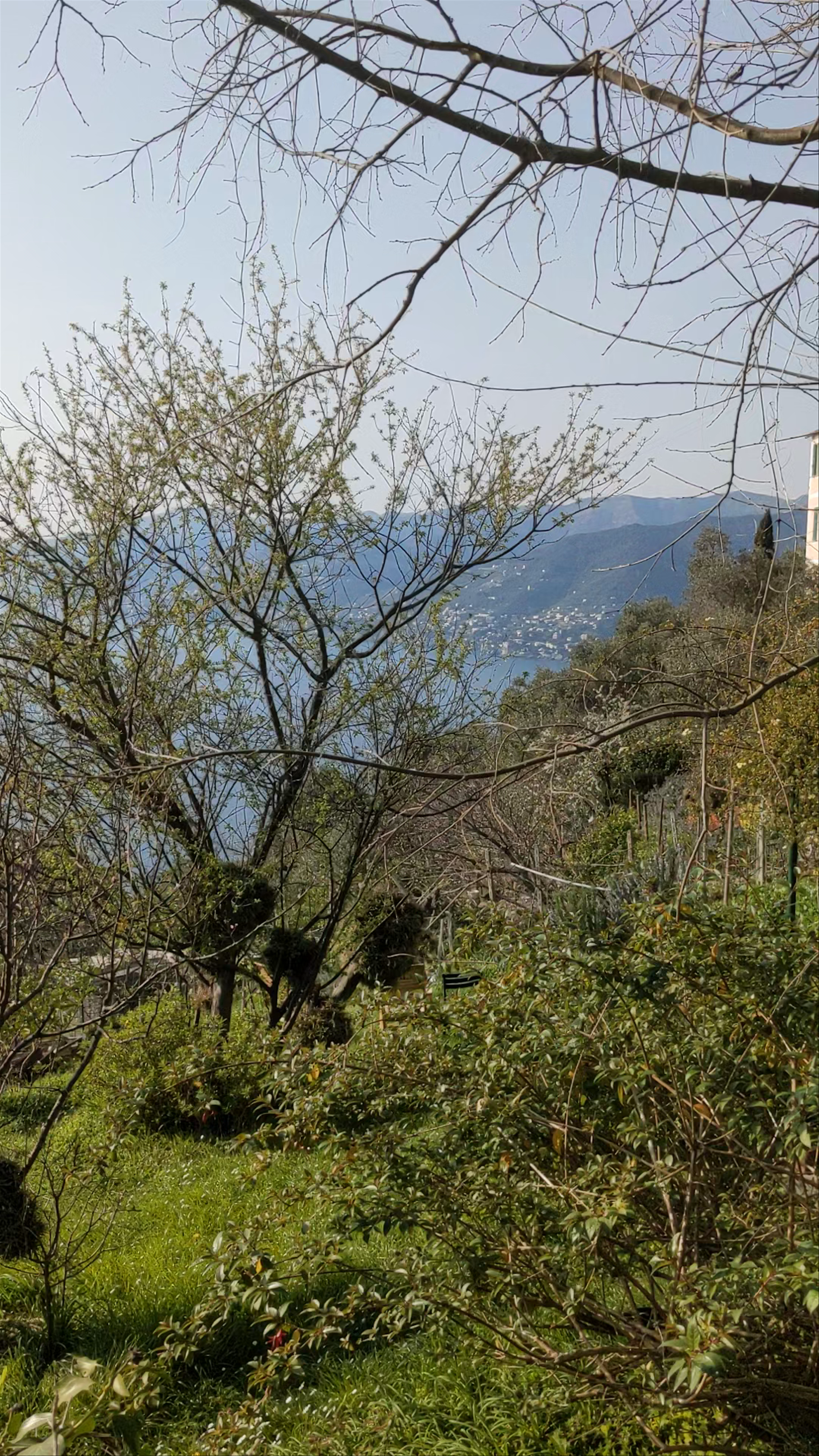 Walk in the Promontorio of Portofino
