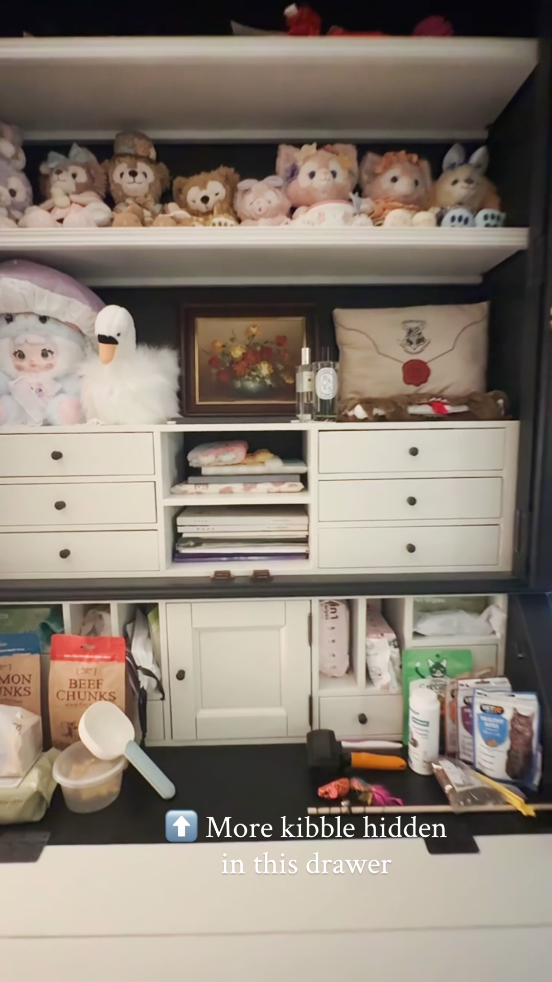 See-our-Cat-room…-equipped-with-a-SMART-TV!