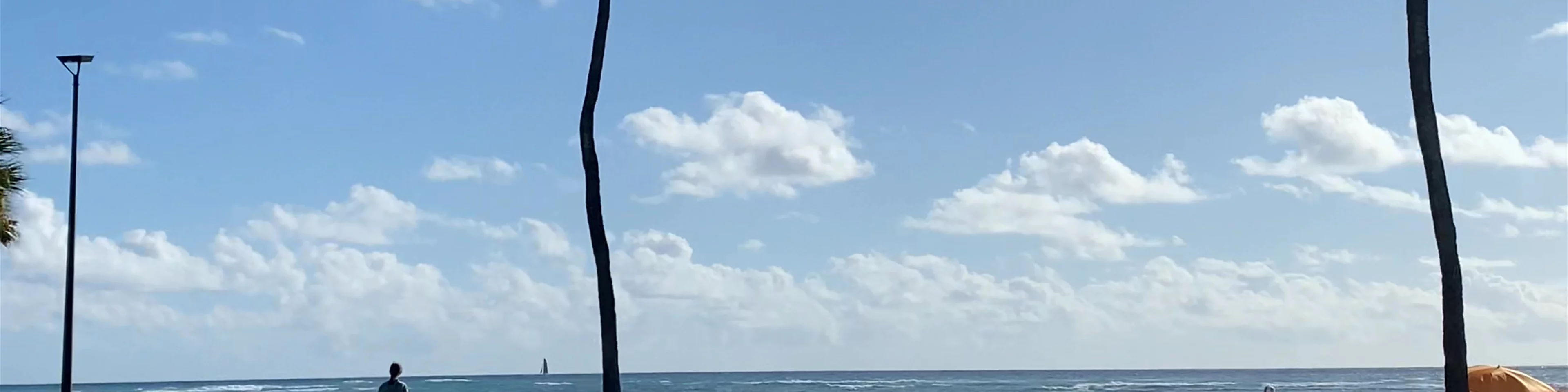 Fort DeRussy Beach Park