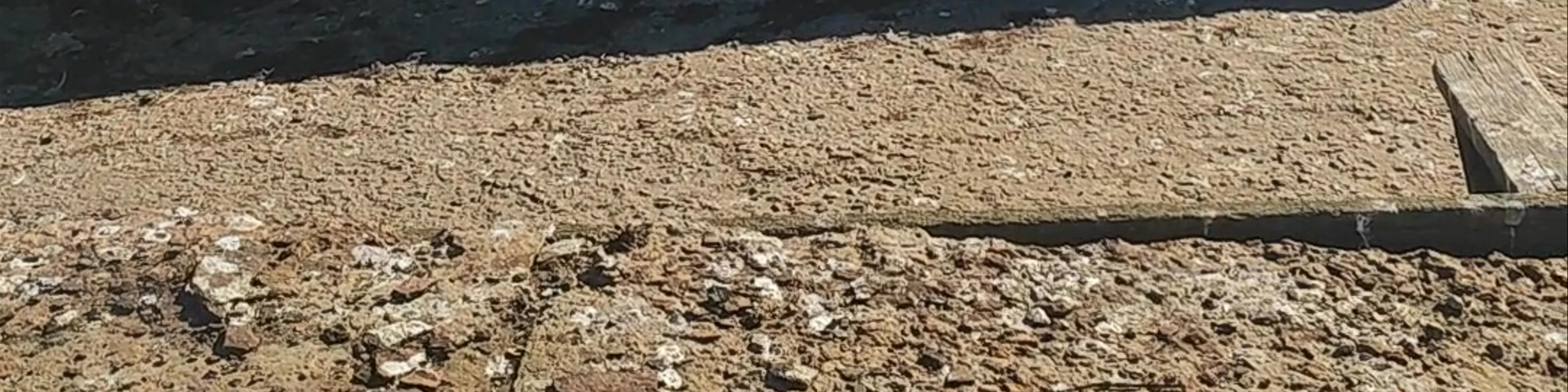 Sea lion reserve of the port of Mar del Plata