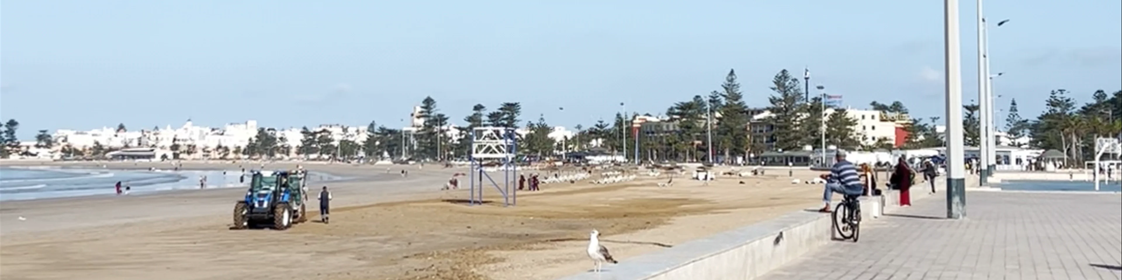 Essaouira Beach