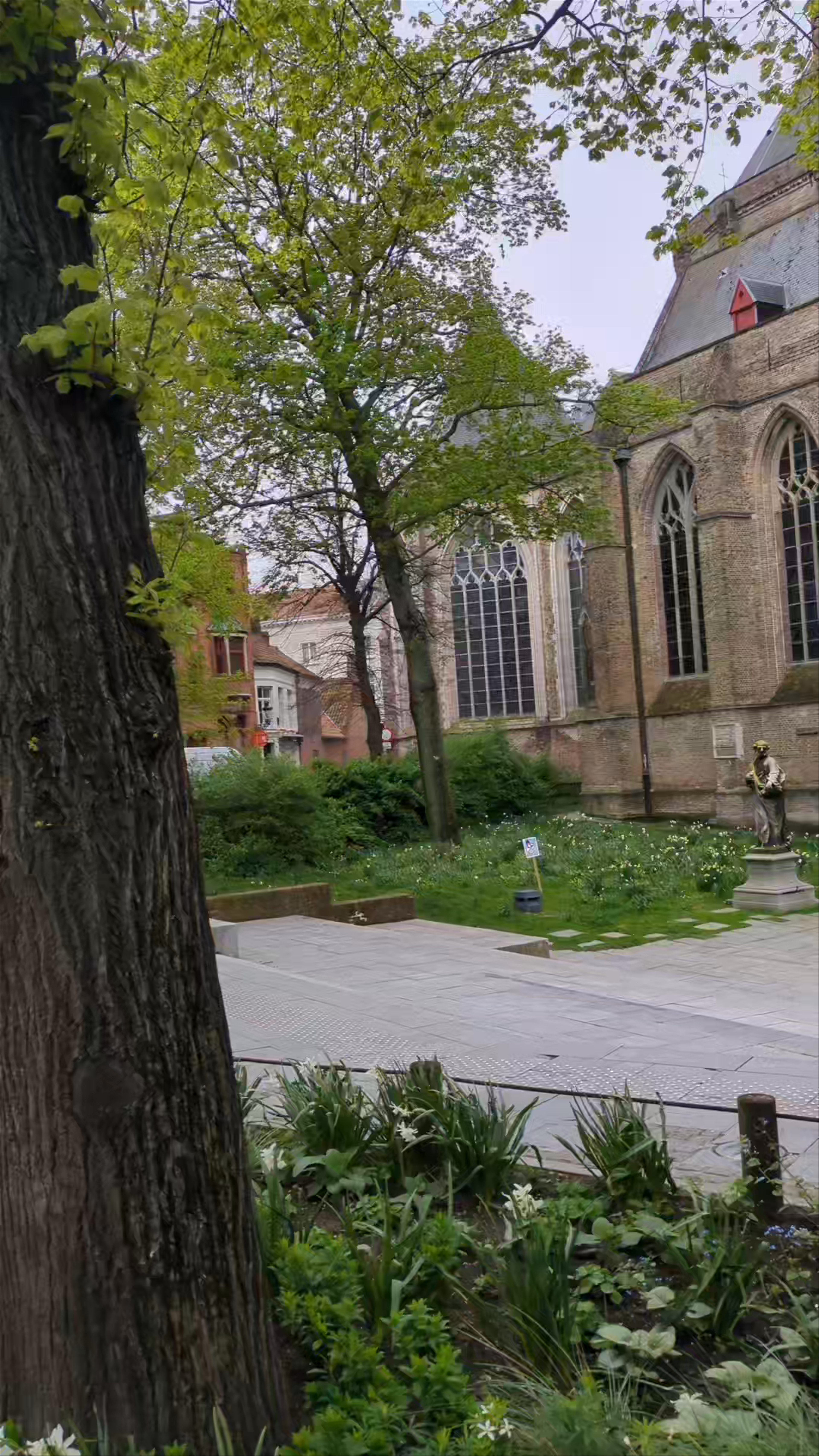 Springtime Serenity at Sint-Salvatorskathedraal in Bruges