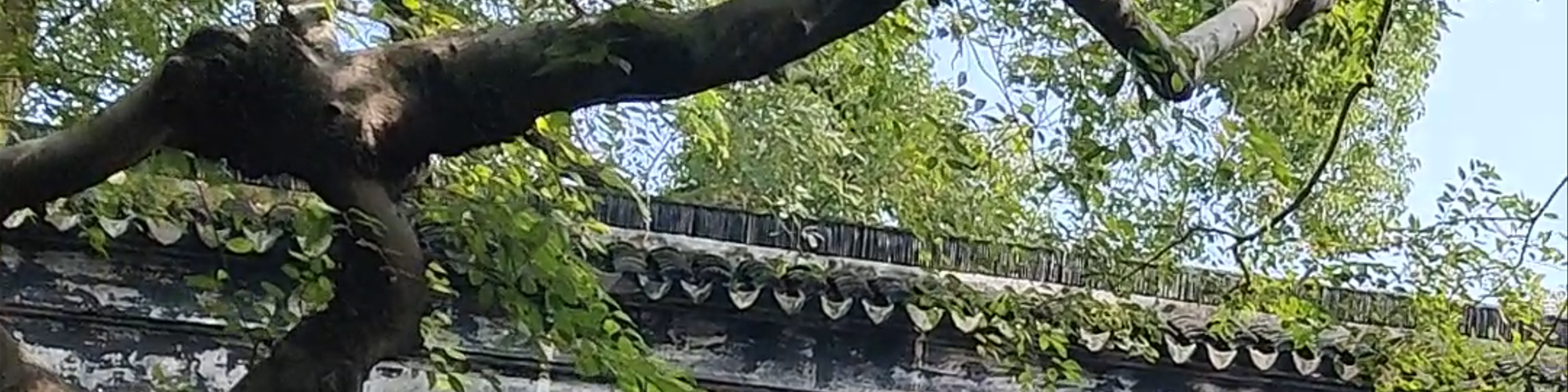 Suzhou