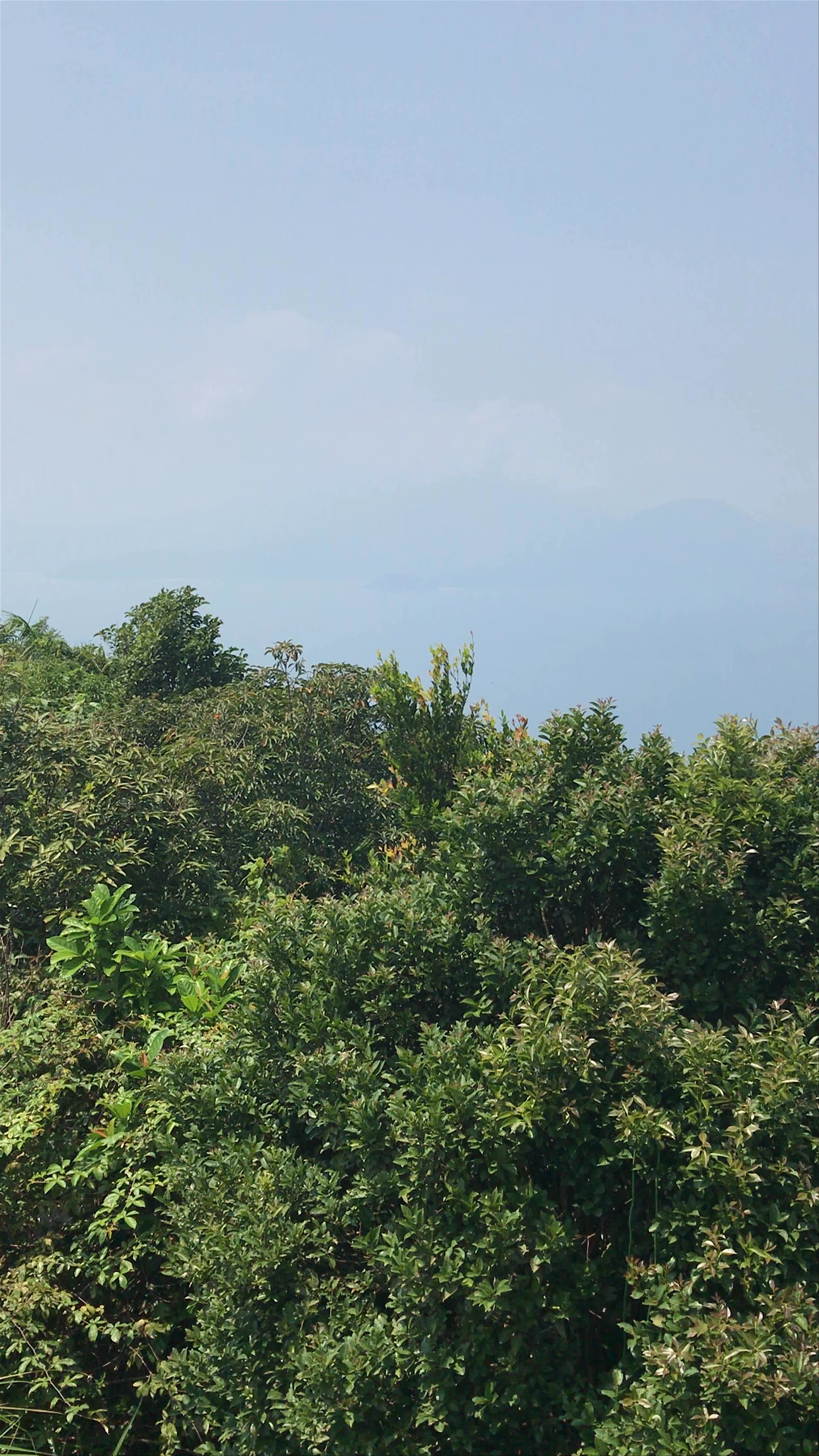 Nhà Vọng Cảnh, Sơn Trà