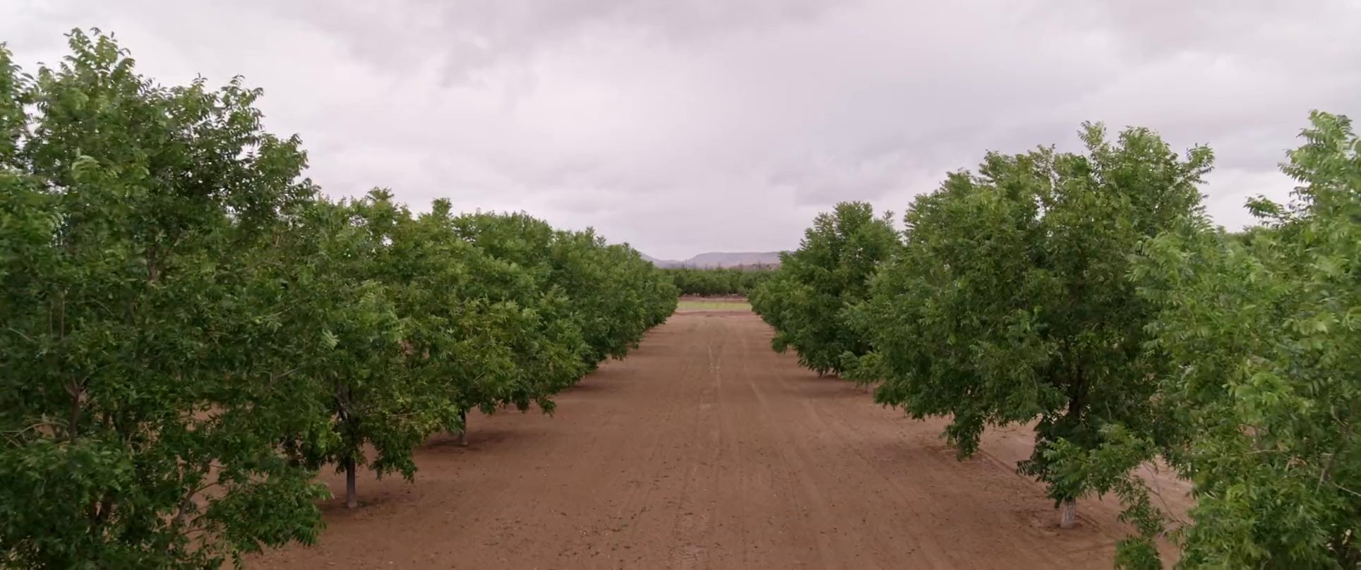 Two men sit outside discussing agricultural topics in front of a sprawling orchard and cultivated field. The scene captures the intersection of rural work and personal engagement.