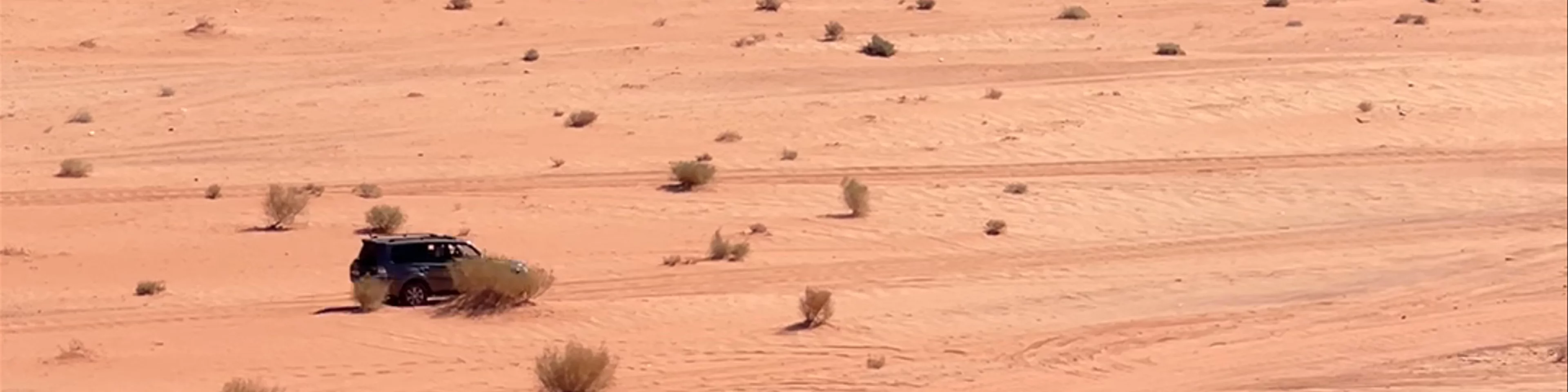 Wadi Rum Jeep Tours (Abu Bilal)