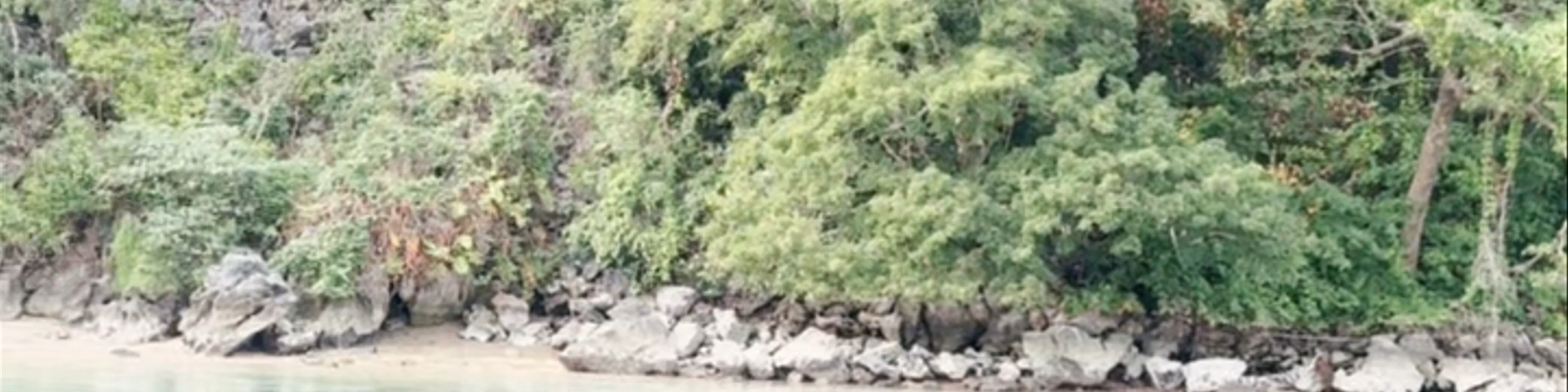 Naufrágio Olympia Maru